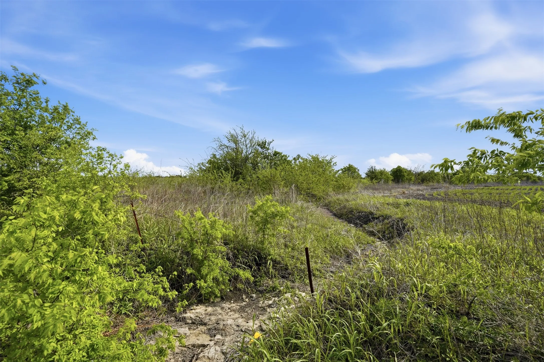 Unimproved Land For Sale in Hill County , 0000 FM 1243, Milford, Texas 76670, 0, 0, Garage spaces, 0 Sqft, built in 0, Price $448,275, mls#21237350, Real Estate Agent in Milford, Homes For Sale in Hill county, Homes For Sale in Milford, Realtor in Milford Texas, Real Estate Brokerage Independent Realty Texas, Luminita Cordes Realtor