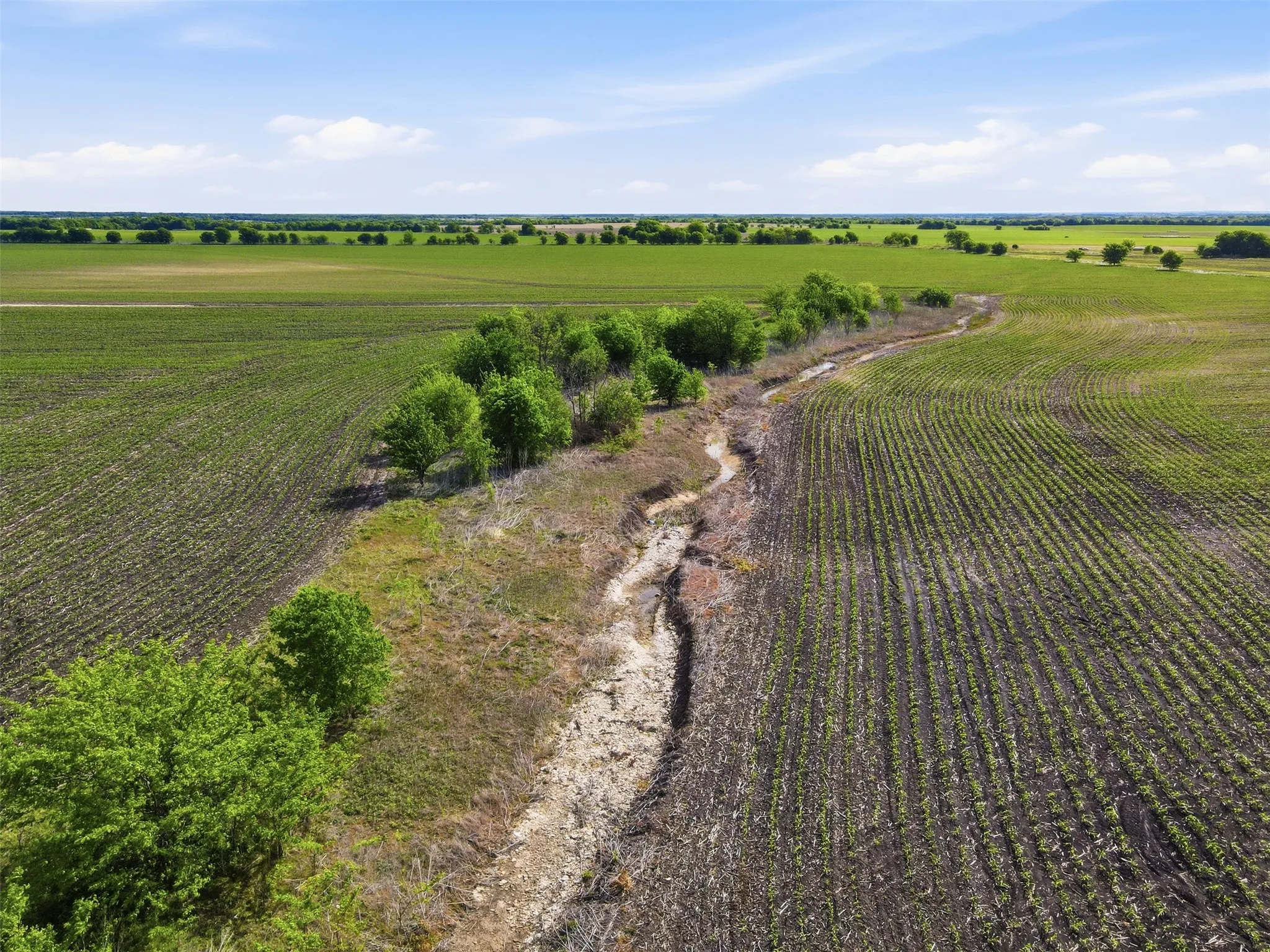 Aerial view of sparsely populated area featuring rows of crops