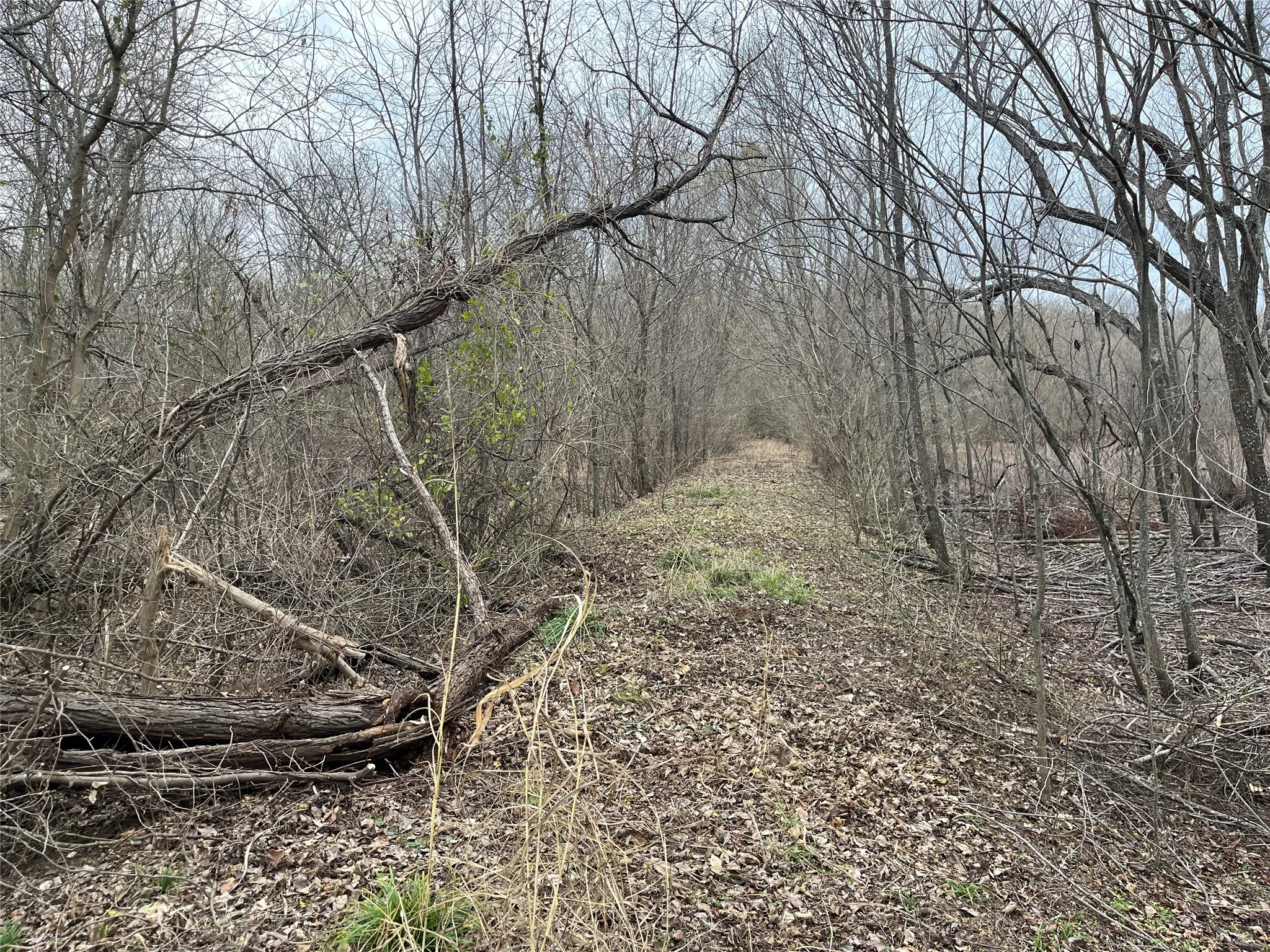 Path between seasonal wetland areas
