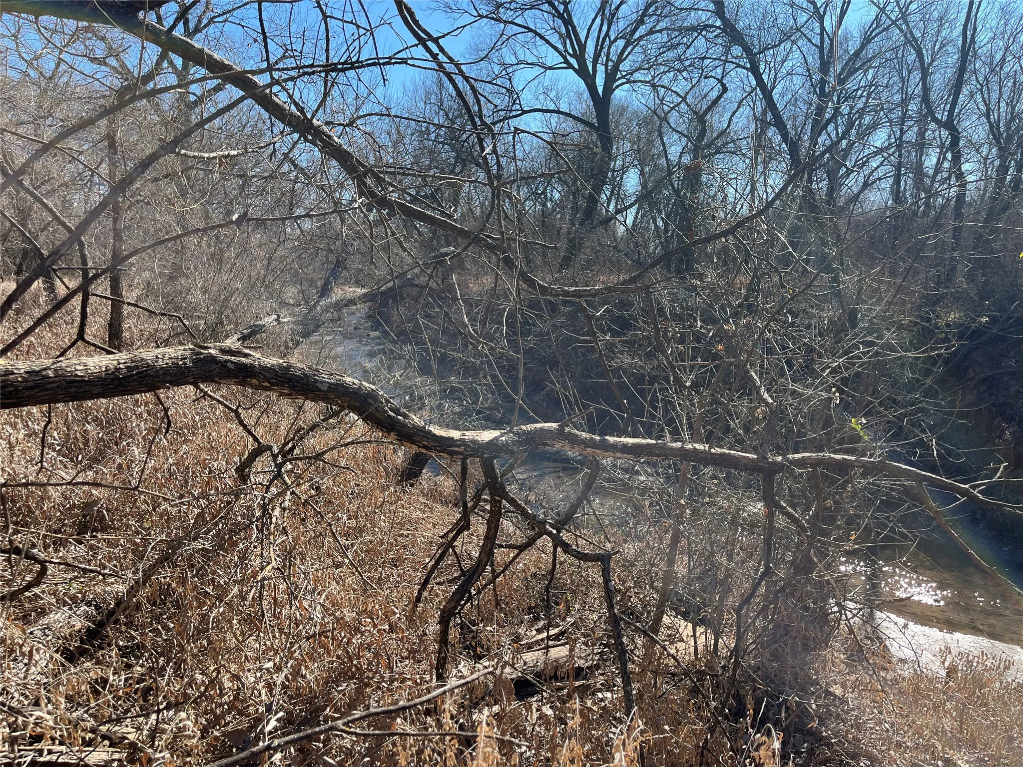 Denton Creek