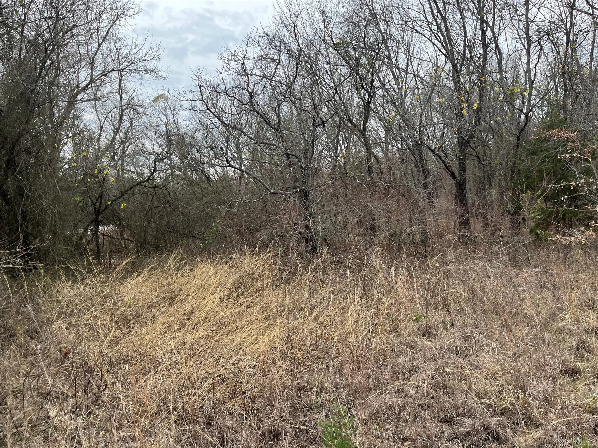 Unimproved Land For Sale in Montague County , TBD Dry Valley Road, Sunset, Texas 76270, 0, 0, Garage spaces, 0 Sqft, built in 0, mls#21229053, Real Estate Agent in Sunset, Homes For Sale in Montague county, Homes For Sale in Sunset, Realtor in Sunset Texas, Real Estate Brokerage Independent Realty Texas, Luminita Cordes Realtor