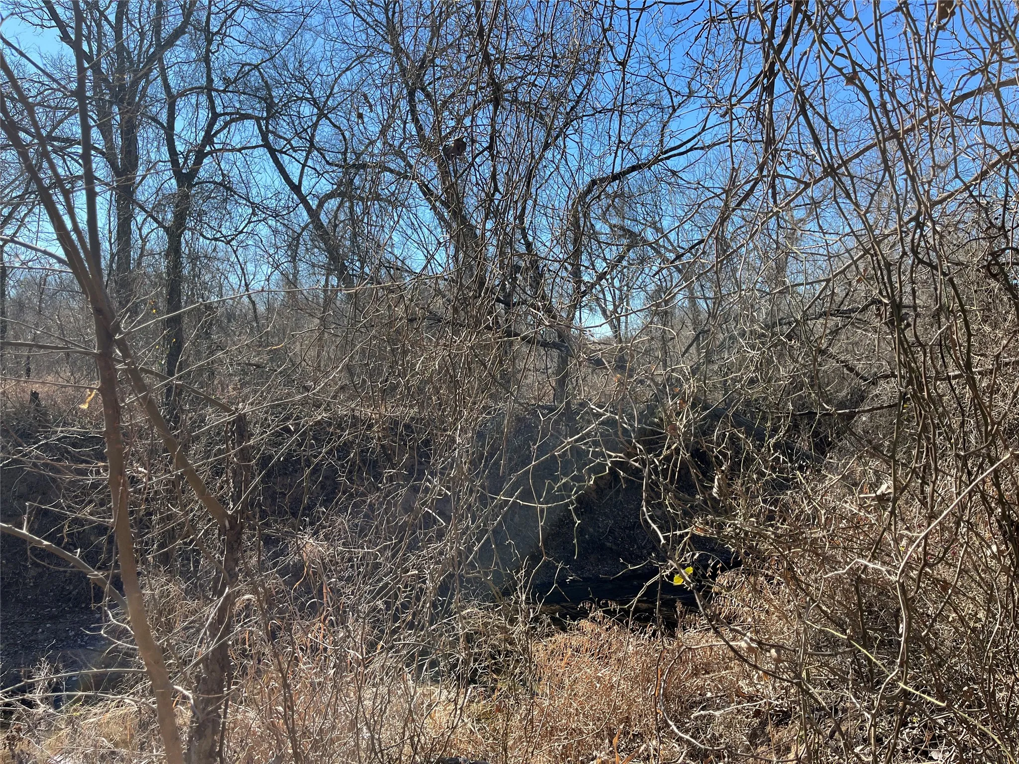 Unimproved Land For Sale in Montague County , TBD Dry Valley Road, Sunset, Texas 76270, 0, 0, Garage spaces, 0 Sqft, built in 0, mls#21229053, Real Estate Agent in Sunset, Homes For Sale in Montague county, Homes For Sale in Sunset, Realtor in Sunset Texas, Real Estate Brokerage Independent Realty Texas, Luminita Cordes Realtor