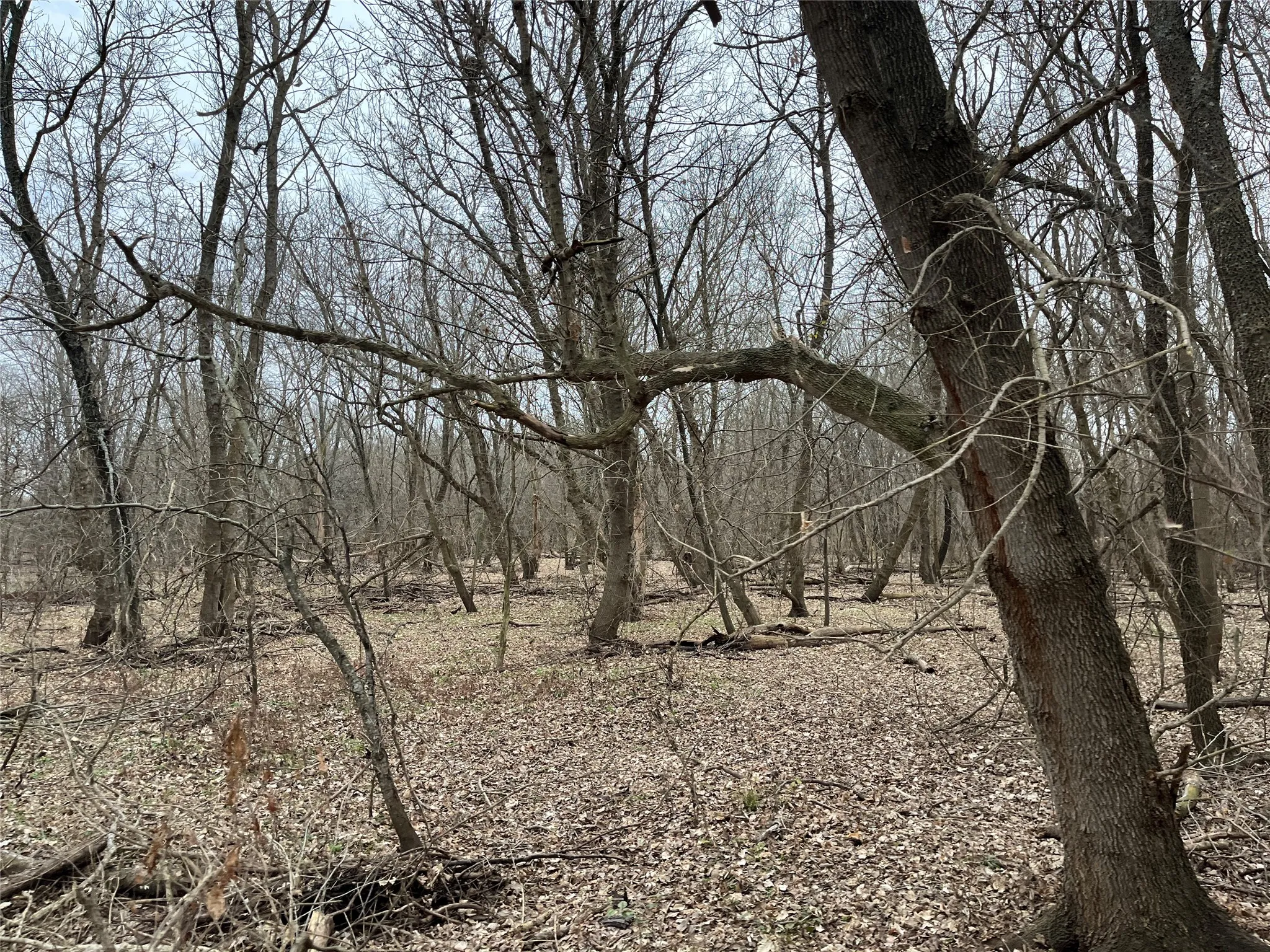 Seasonal wetland area