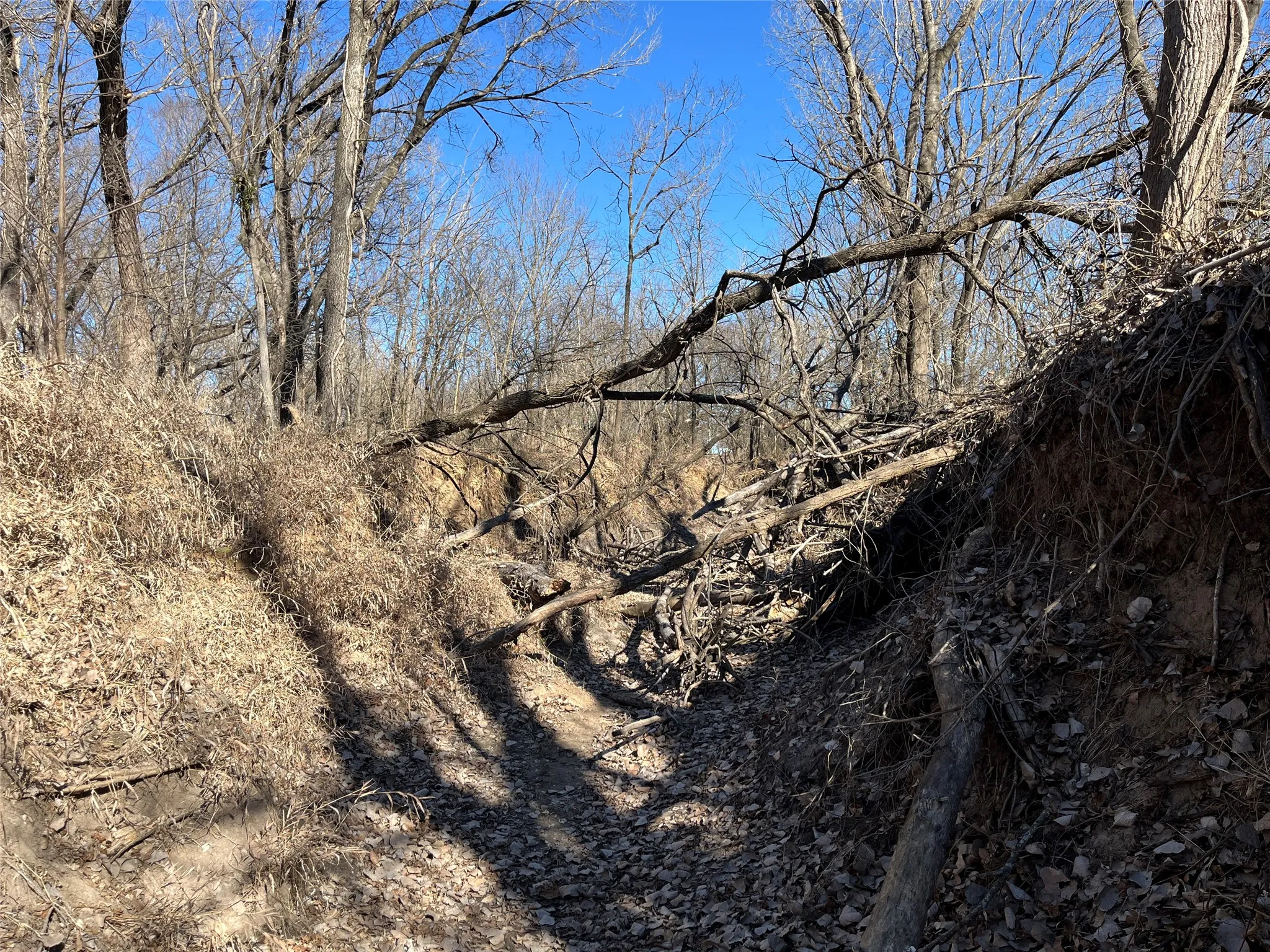 Denton Creek offshoot