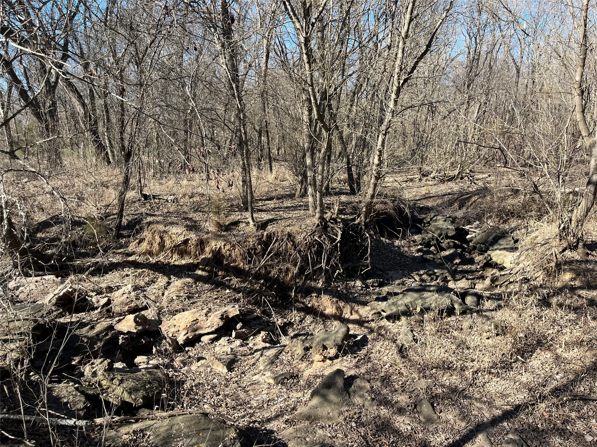 Denton Creek offshoot