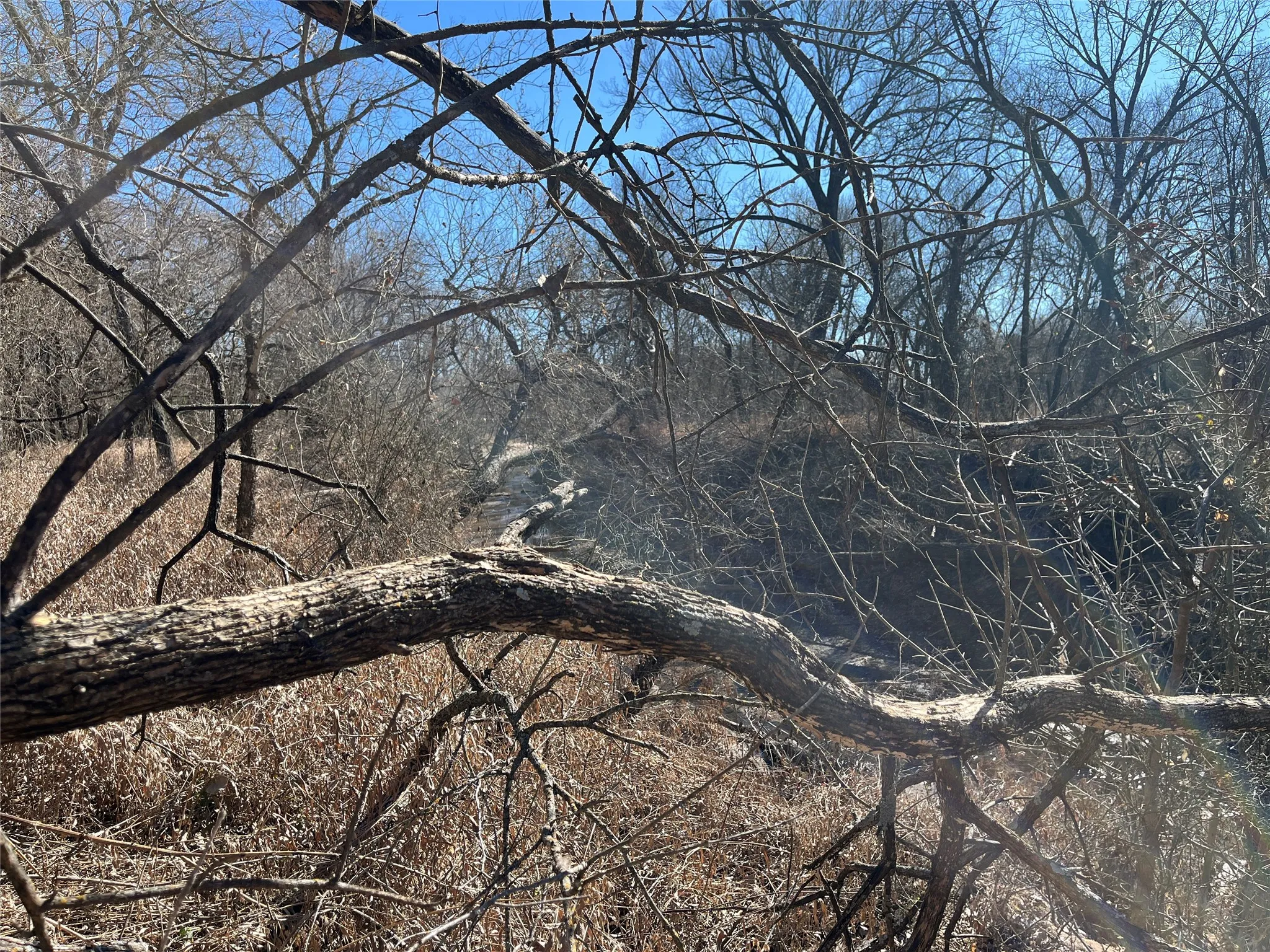 Denton Creek