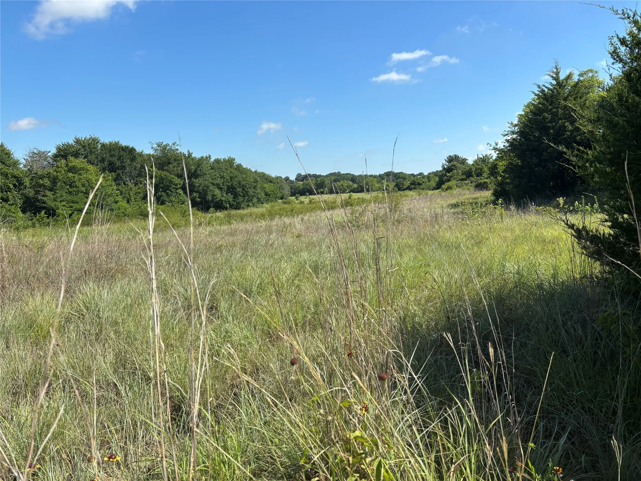 Unimproved Land For Sale in Montague County , TBD Dry Valley Road, Sunset, Texas 76270, 0, 0, Garage spaces, 0 Sqft, built in 0, mls#21229053, Real Estate Agent in Sunset, Homes For Sale in Montague county, Homes For Sale in Sunset, Realtor in Sunset Texas, Real Estate Brokerage Independent Realty Texas, Luminita Cordes Realtor