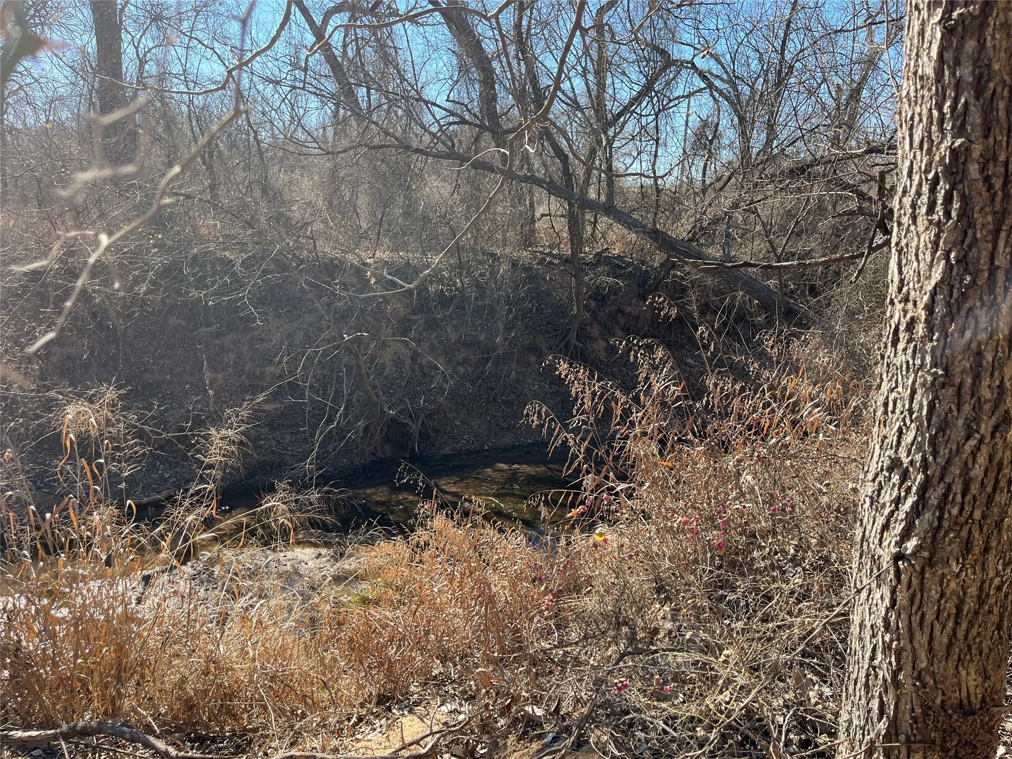 Denton Creek