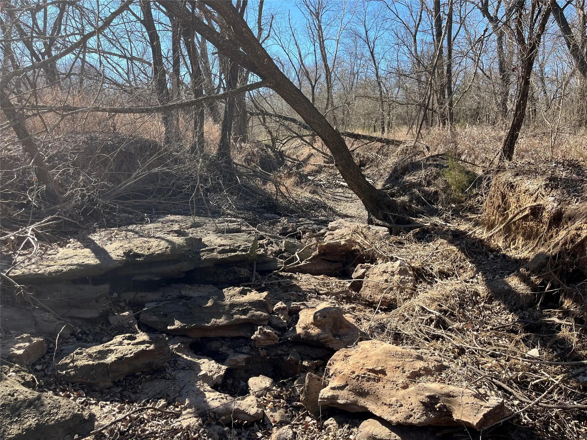 Denton Creek offshoot
