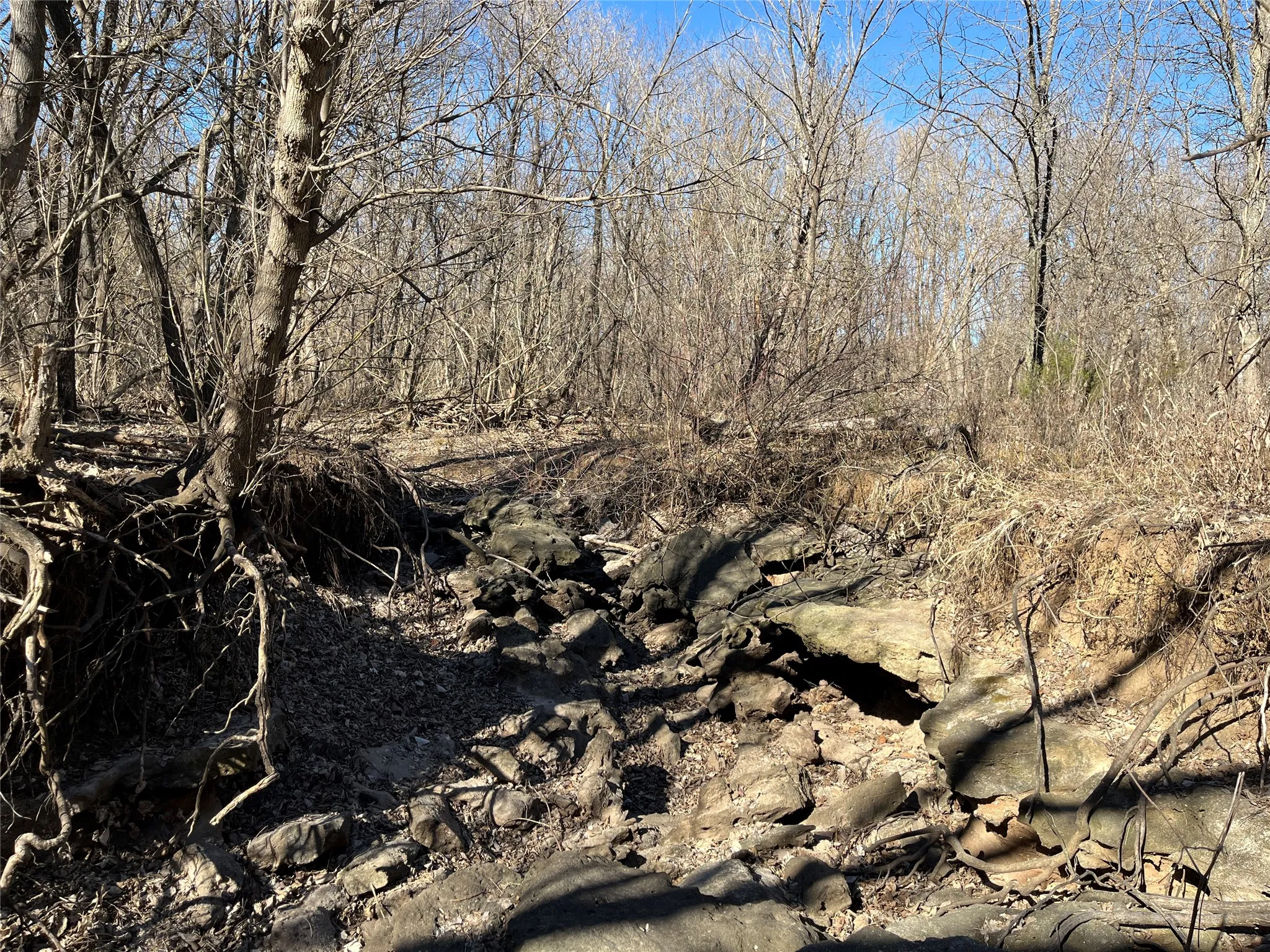 Denton Creek offshoot