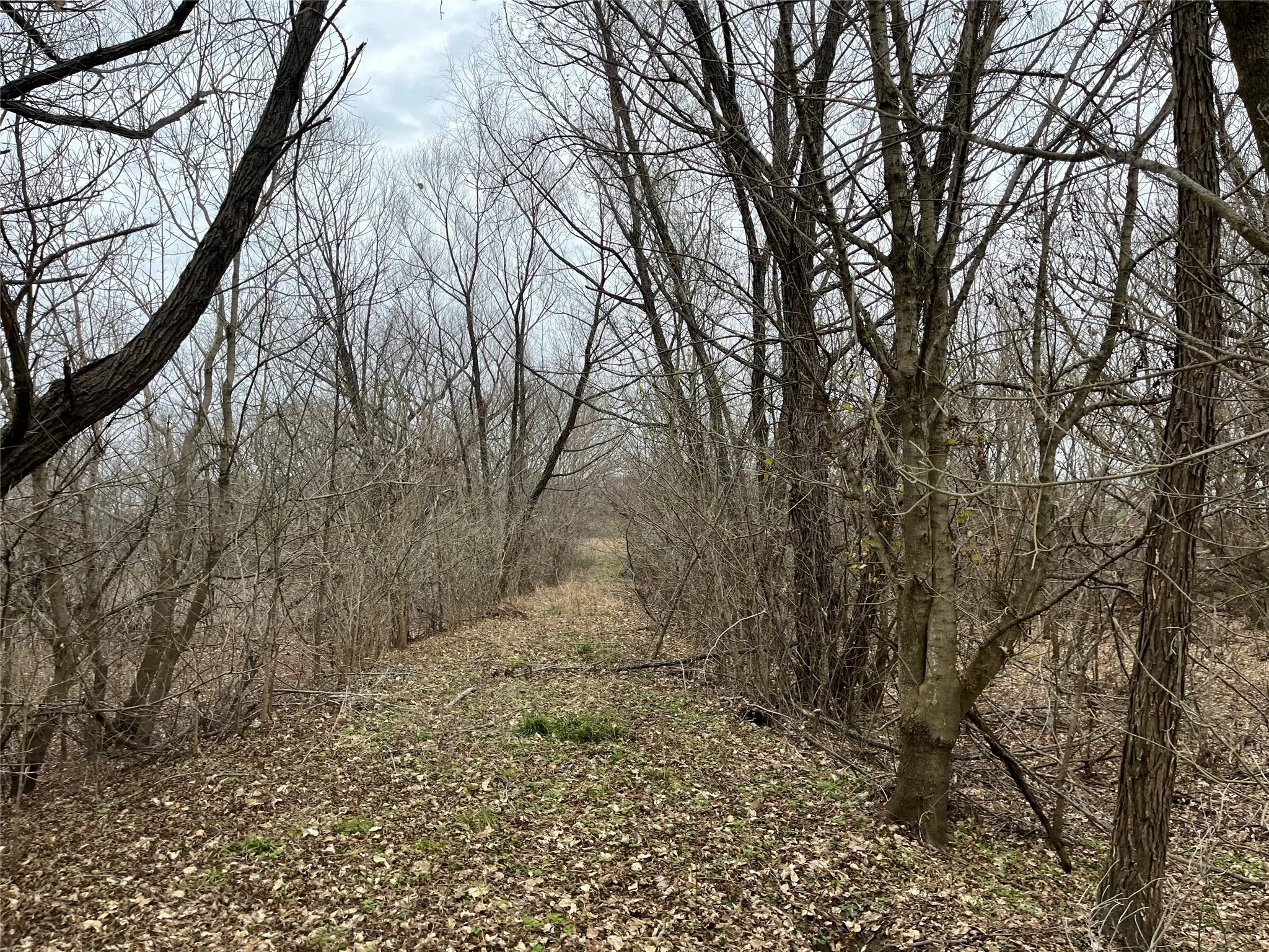 Path between seasonal wetland areas