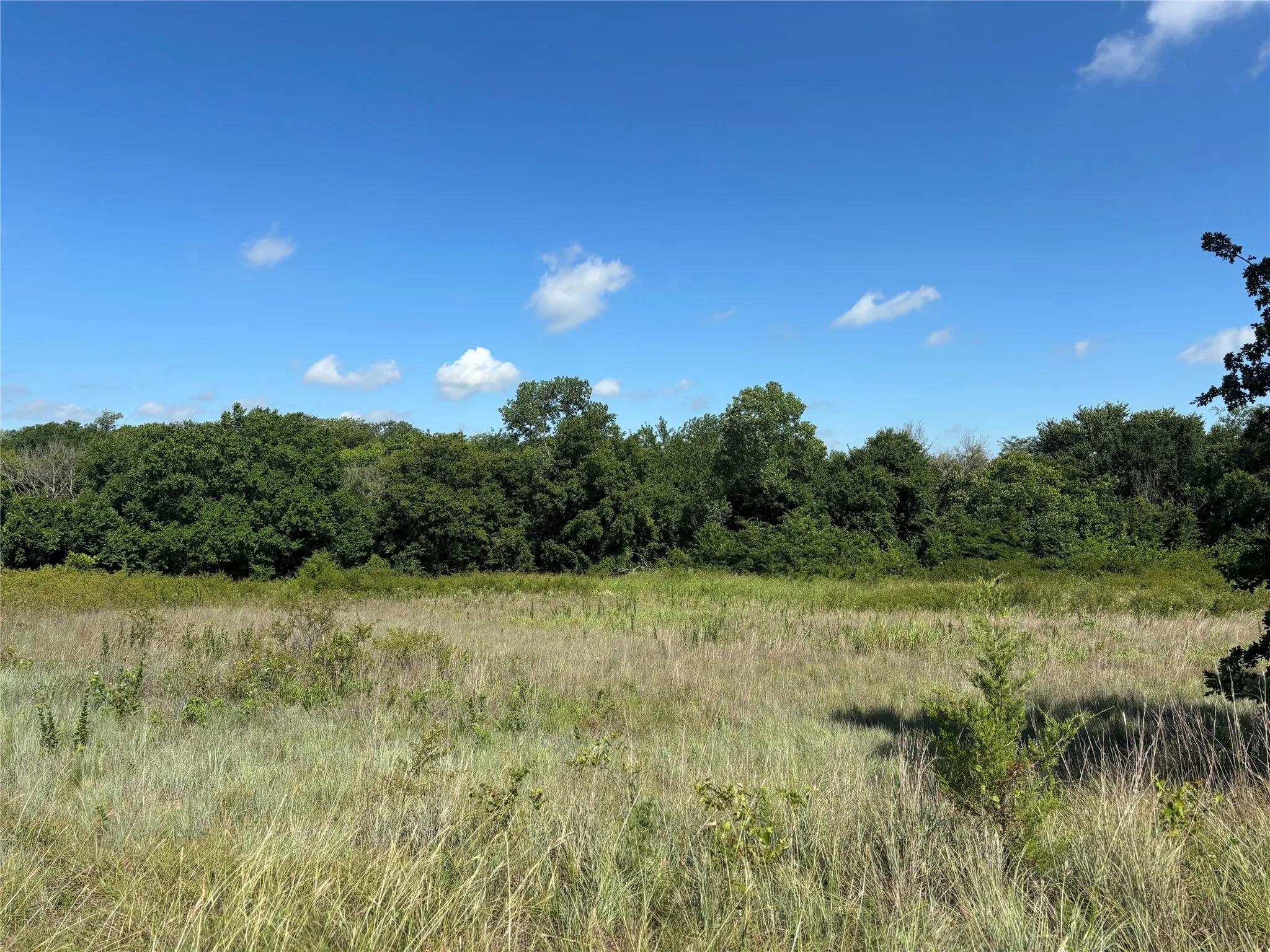 Unimproved Land For Sale in Montague County , TBD Dry Valley Road, Sunset, Texas 76270, 0, 0, Garage spaces, 0 Sqft, built in 0, mls#21229053, Real Estate Agent in Sunset, Homes For Sale in Montague county, Homes For Sale in Sunset, Realtor in Sunset Texas, Real Estate Brokerage Independent Realty Texas, Luminita Cordes Realtor