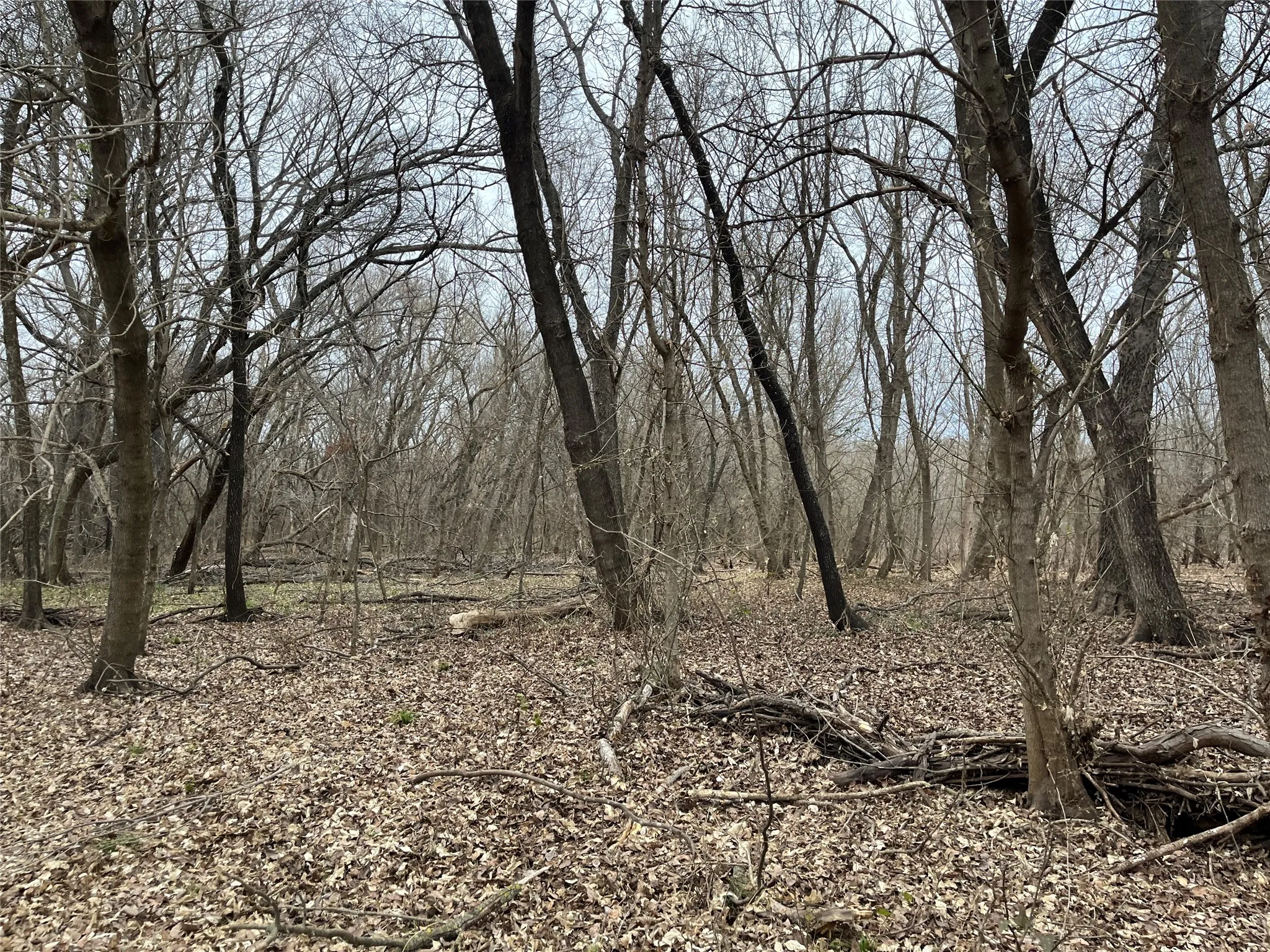 Seasonal wetland area