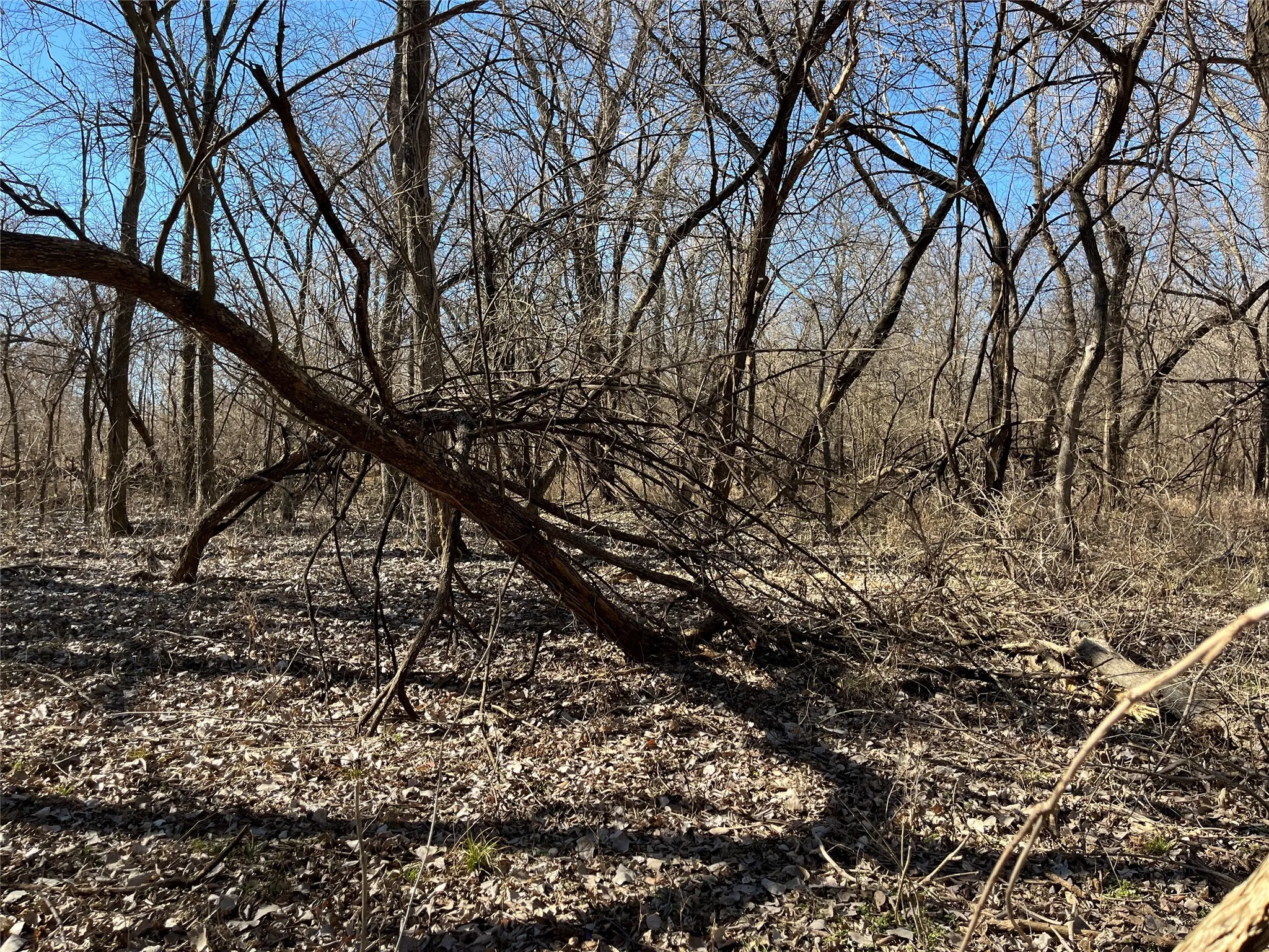 Unimproved Land For Sale in Montague County , TBD Dry Valley Road, Sunset, Texas 76270, 0, 0, Garage spaces, 0 Sqft, built in 0, mls#21229053, Real Estate Agent in Sunset, Homes For Sale in Montague county, Homes For Sale in Sunset, Realtor in Sunset Texas, Real Estate Brokerage Independent Realty Texas, Luminita Cordes Realtor
