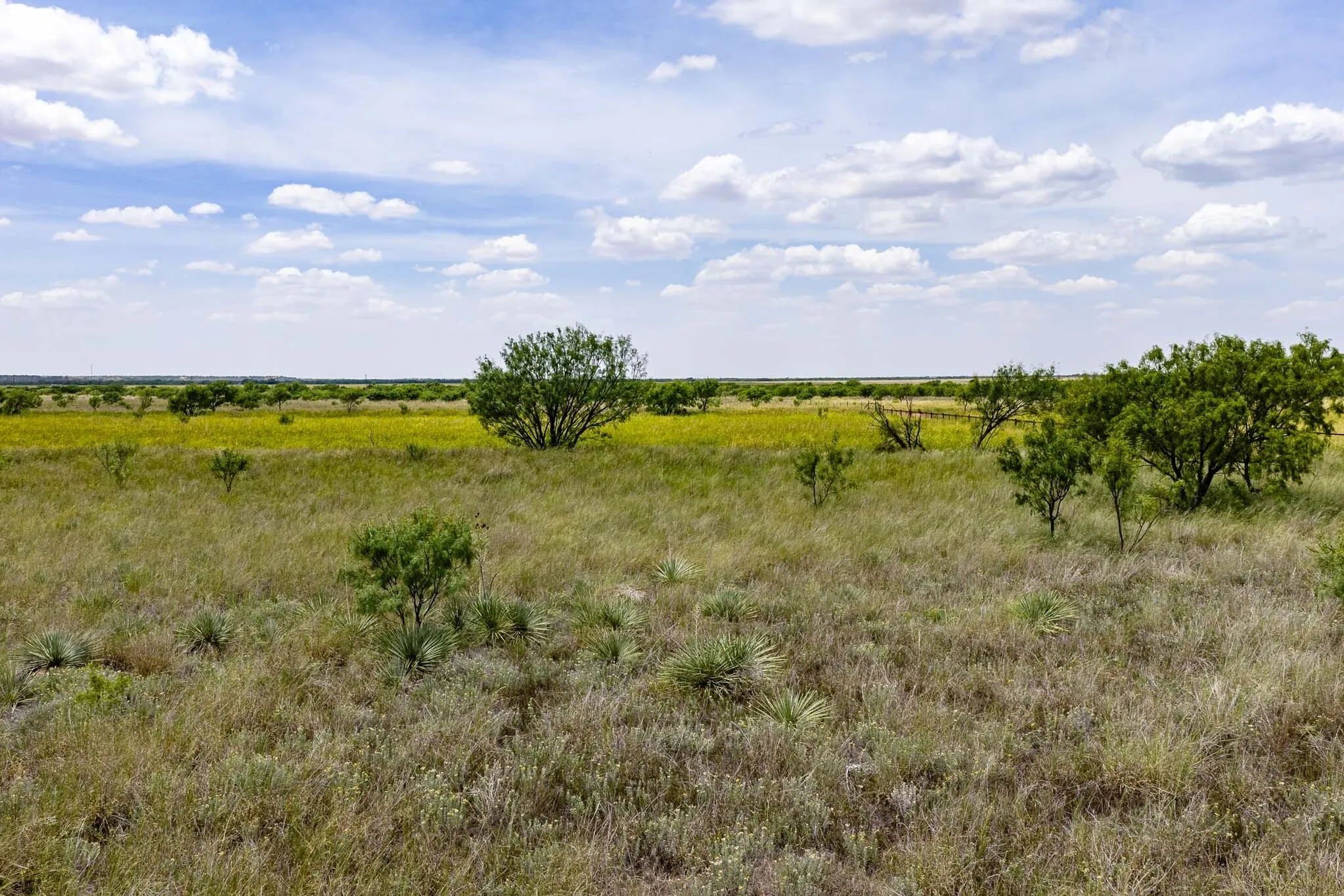 Unimproved Land For Sale in Jones County , tract 3 CR 463, Anson, Texas 79501, 0, 0, Garage spaces, 0 Sqft, built in 0, mls#21237390, Real Estate Agent in Anson, Homes For Sale in Jones county, Homes For Sale in Anson, Realtor in Anson Texas, Real Estate Brokerage Independent Realty Texas, Luminita Cordes Realtor