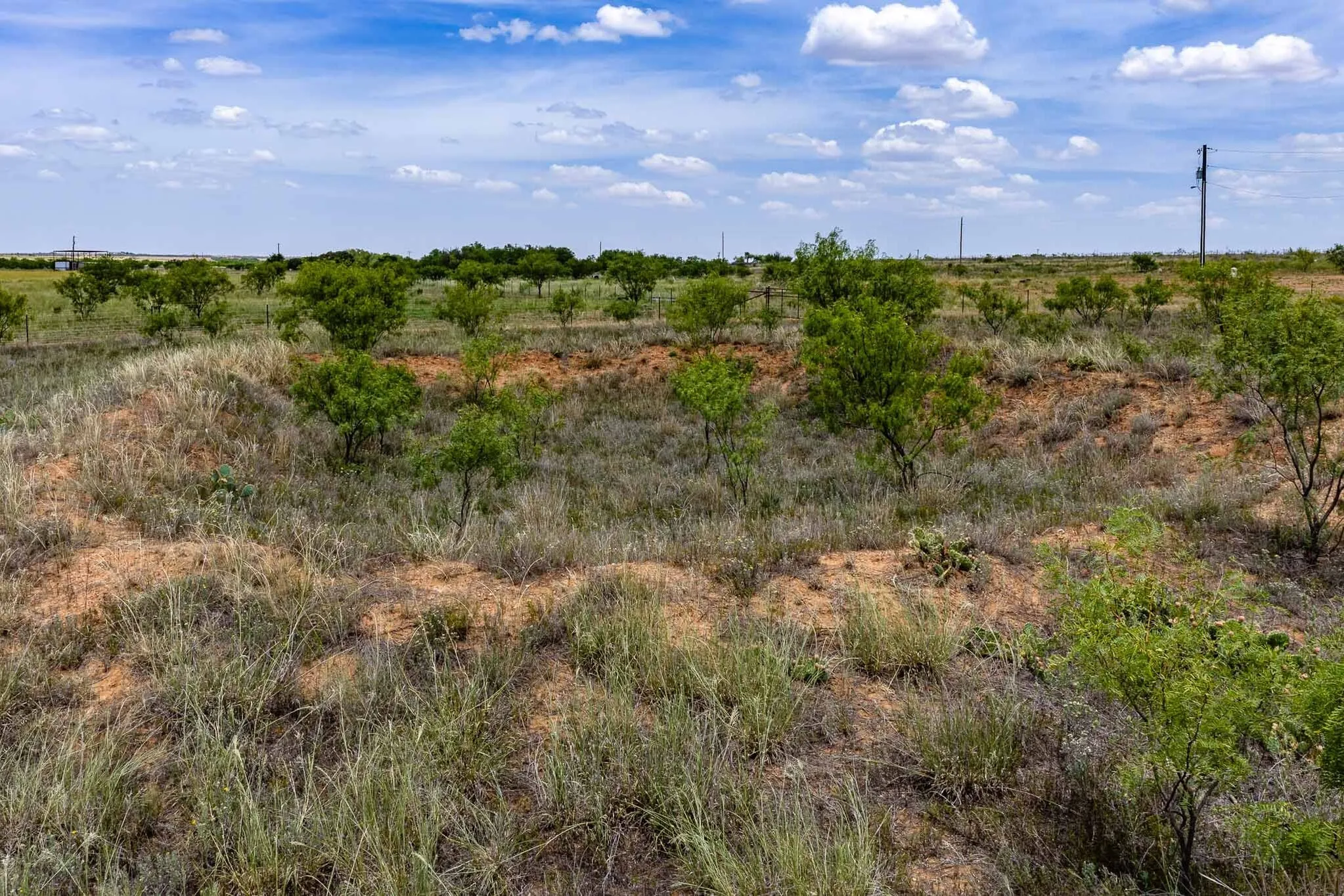 Unimproved Land For Sale in Jones County , tract 3 CR 463, Anson, Texas 79501, 0, 0, Garage spaces, 0 Sqft, built in 0, mls#21237390, Real Estate Agent in Anson, Homes For Sale in Jones county, Homes For Sale in Anson, Realtor in Anson Texas, Real Estate Brokerage Independent Realty Texas, Luminita Cordes Realtor