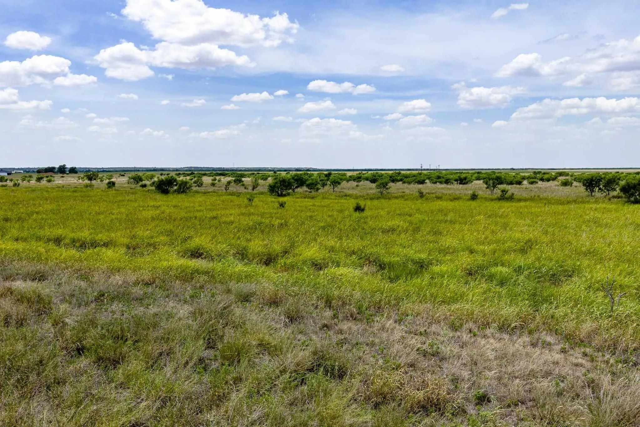 Unimproved Land For Sale in Jones County , tract 3 CR 463, Anson, Texas 79501, 0, 0, Garage spaces, 0 Sqft, built in 0, mls#21237390, Real Estate Agent in Anson, Homes For Sale in Jones county, Homes For Sale in Anson, Realtor in Anson Texas, Real Estate Brokerage Independent Realty Texas, Luminita Cordes Realtor