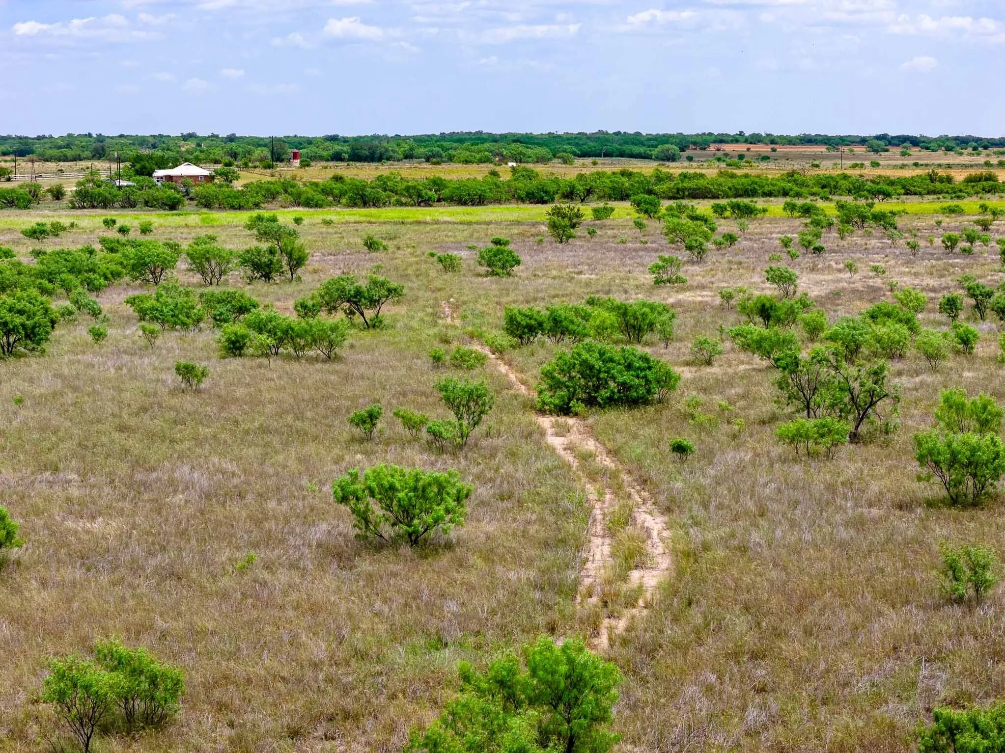 Unimproved Land For Sale in Jones County , tract 3 CR 463, Anson, Texas 79501, 0, 0, Garage spaces, 0 Sqft, built in 0, mls#21237390, Real Estate Agent in Anson, Homes For Sale in Jones county, Homes For Sale in Anson, Realtor in Anson Texas, Real Estate Brokerage Independent Realty Texas, Luminita Cordes Realtor
