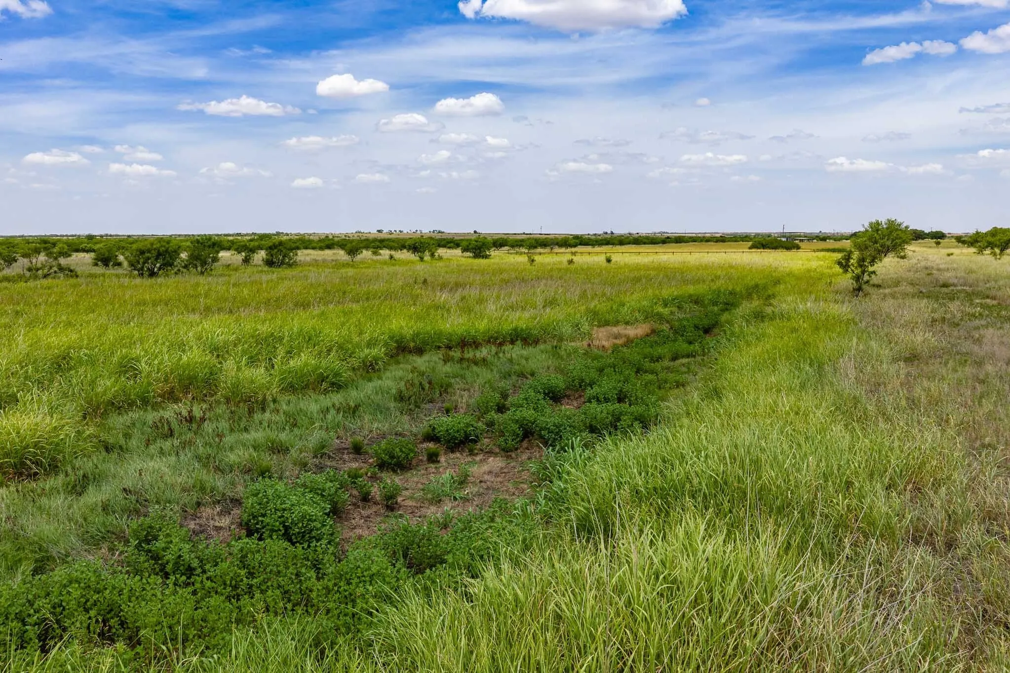 Unimproved Land For Sale in Jones County , tract 3 CR 463, Anson, Texas 79501, 0, 0, Garage spaces, 0 Sqft, built in 0, mls#21237390, Real Estate Agent in Anson, Homes For Sale in Jones county, Homes For Sale in Anson, Realtor in Anson Texas, Real Estate Brokerage Independent Realty Texas, Luminita Cordes Realtor