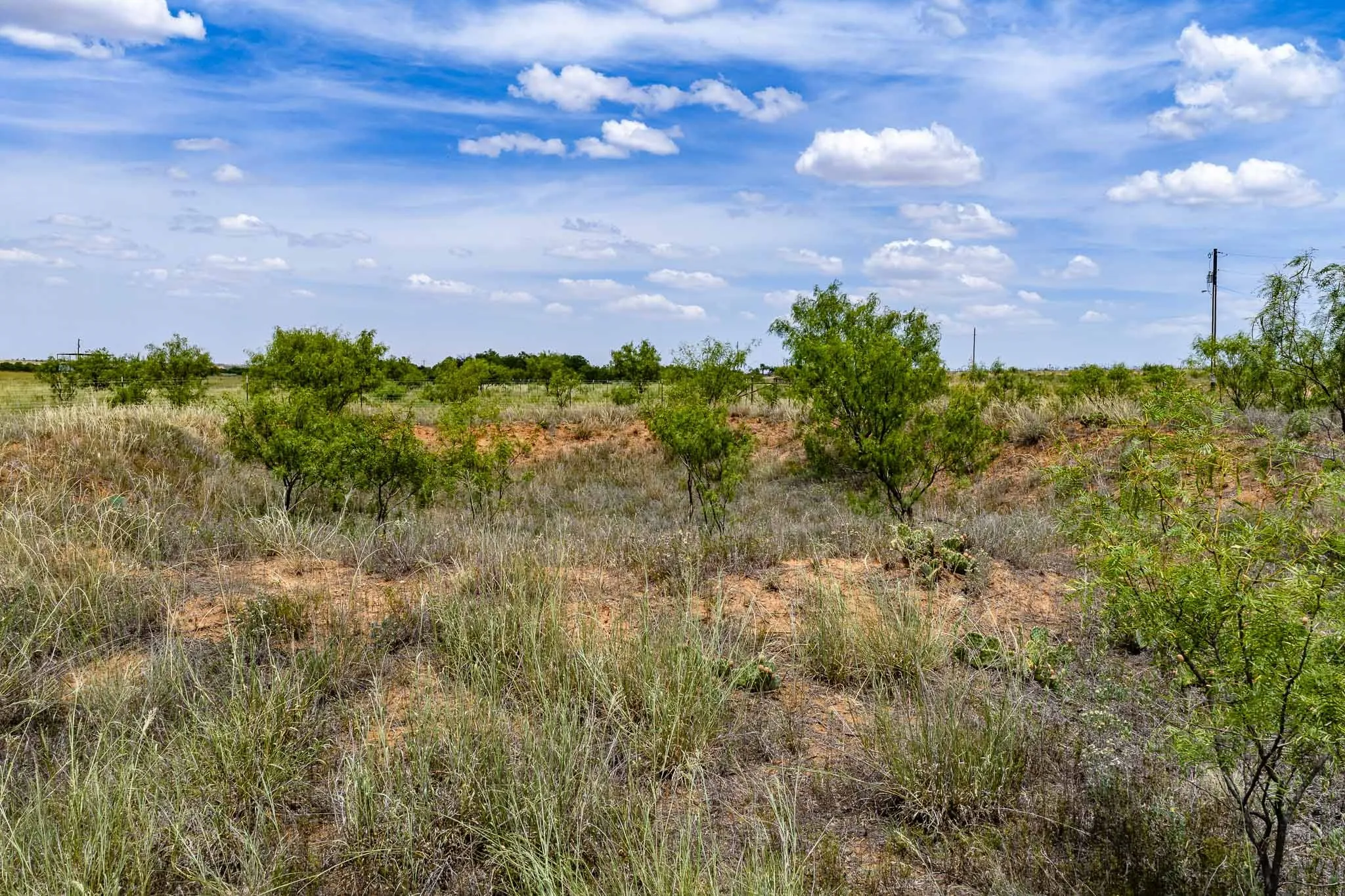 Unimproved Land For Sale in Jones County , tract 3 CR 463, Anson, Texas 79501, 0, 0, Garage spaces, 0 Sqft, built in 0, mls#21237390, Real Estate Agent in Anson, Homes For Sale in Jones county, Homes For Sale in Anson, Realtor in Anson Texas, Real Estate Brokerage Independent Realty Texas, Luminita Cordes Realtor