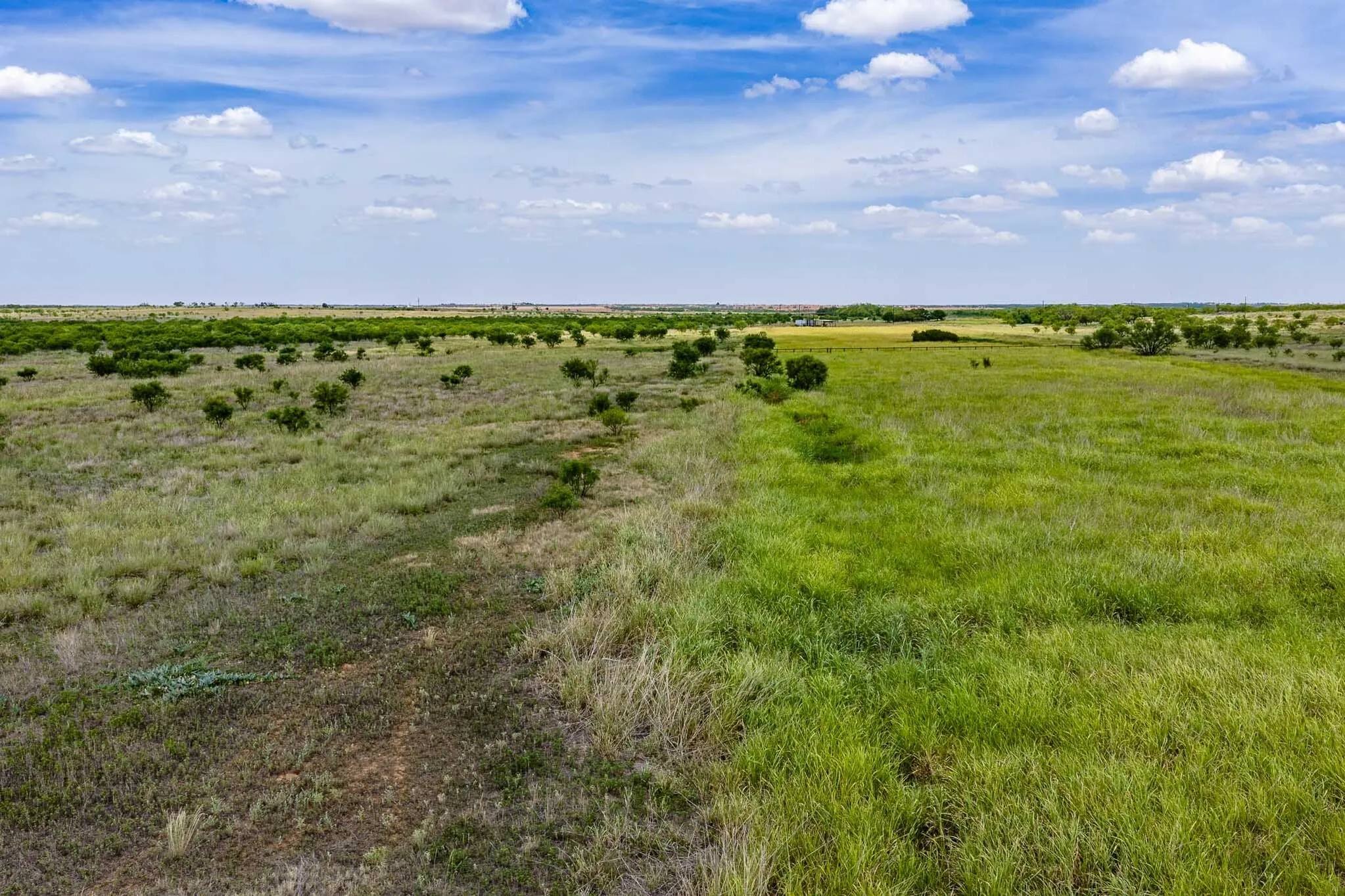 Unimproved Land For Sale in Jones County , tract 3 CR 463, Anson, Texas 79501, 0, 0, Garage spaces, 0 Sqft, built in 0, mls#21237390, Real Estate Agent in Anson, Homes For Sale in Jones county, Homes For Sale in Anson, Realtor in Anson Texas, Real Estate Brokerage Independent Realty Texas, Luminita Cordes Realtor
