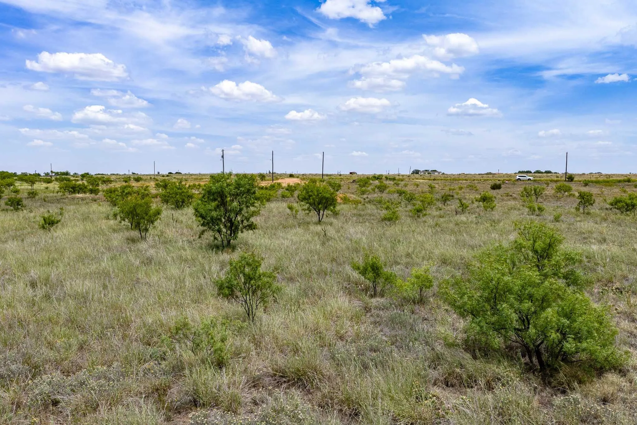 Unimproved Land For Sale in Jones County , tract 3 CR 463, Anson, Texas 79501, 0, 0, Garage spaces, 0 Sqft, built in 0, mls#21237390, Real Estate Agent in Anson, Homes For Sale in Jones county, Homes For Sale in Anson, Realtor in Anson Texas, Real Estate Brokerage Independent Realty Texas, Luminita Cordes Realtor