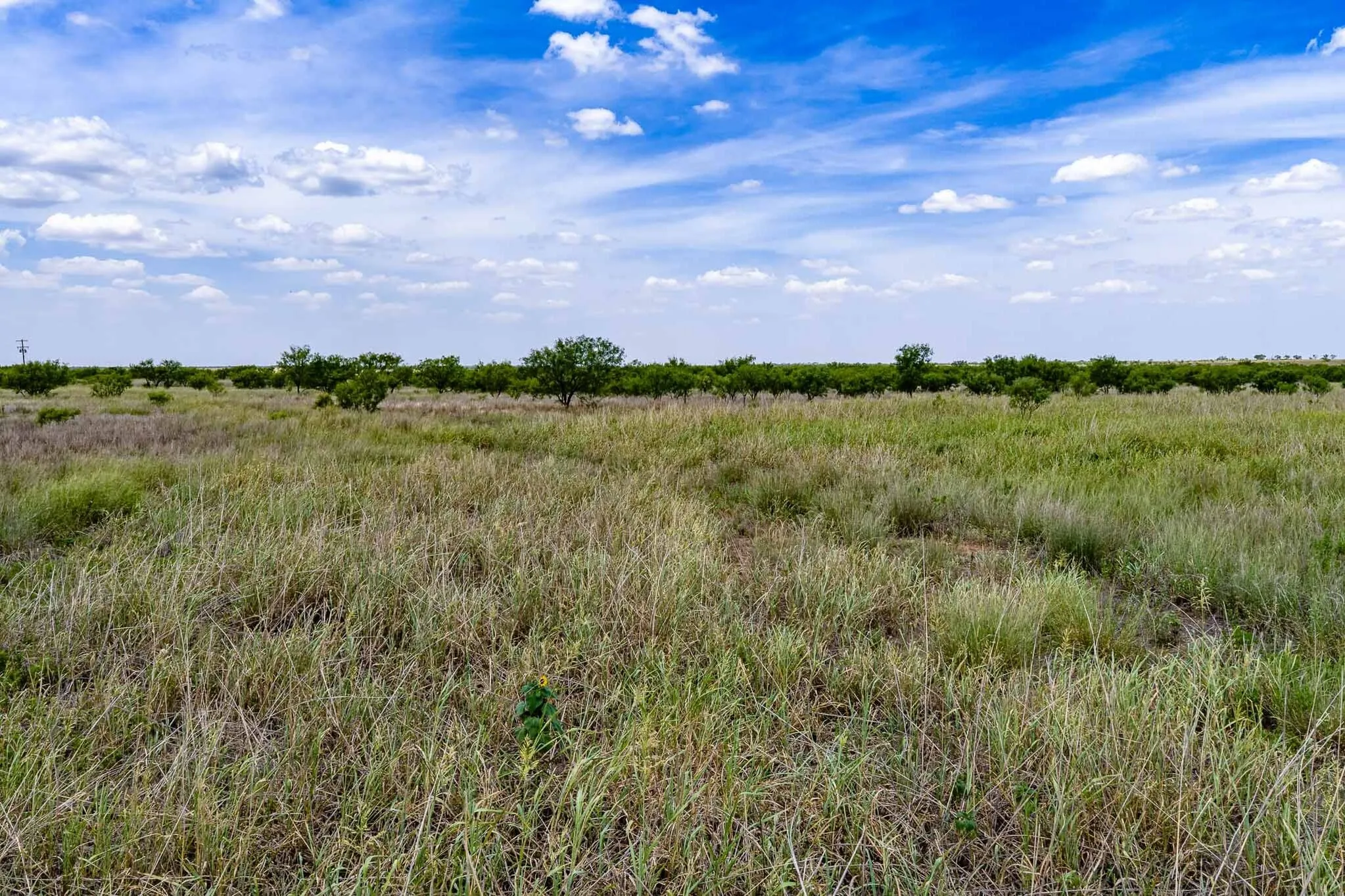 Unimproved Land For Sale in Jones County , tract 3 CR 463, Anson, Texas 79501, 0, 0, Garage spaces, 0 Sqft, built in 0, mls#21237390, Real Estate Agent in Anson, Homes For Sale in Jones county, Homes For Sale in Anson, Realtor in Anson Texas, Real Estate Brokerage Independent Realty Texas, Luminita Cordes Realtor