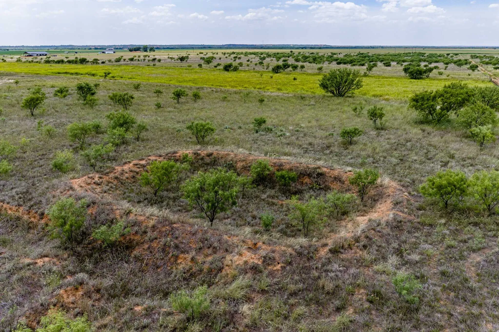 Unimproved Land For Sale in Jones County , tract 3 CR 463, Anson, Texas 79501, 0, 0, Garage spaces, 0 Sqft, built in 0, mls#21237390, Real Estate Agent in Anson, Homes For Sale in Jones county, Homes For Sale in Anson, Realtor in Anson Texas, Real Estate Brokerage Independent Realty Texas, Luminita Cordes Realtor