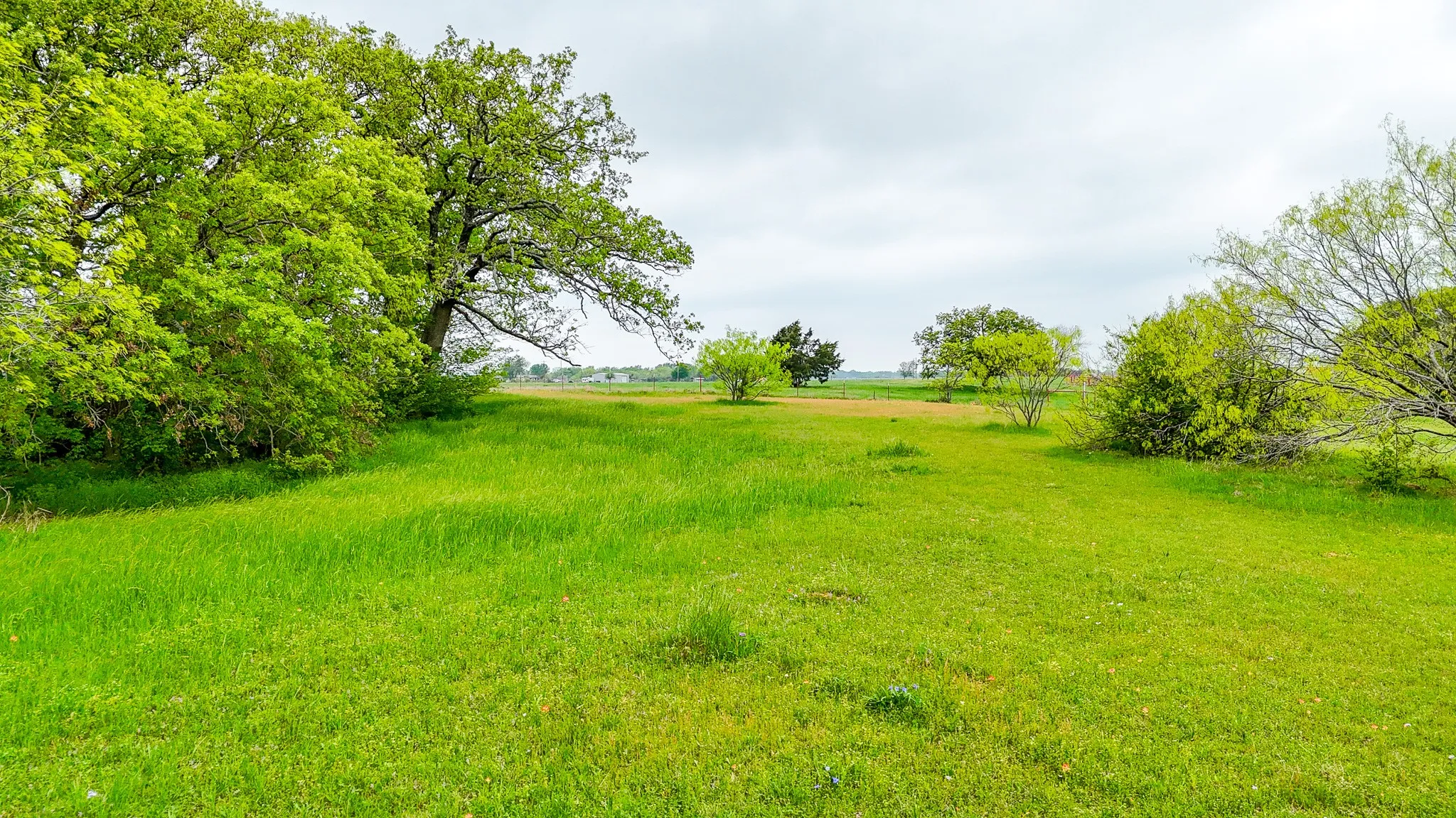 Unimproved Land For Sale in Navarro County , Lot 51 Vista Ridge, Corsicana, Texas 75109, 0, 0, Garage spaces, 0 Sqft, built in 0, mls#21237377, Real Estate Agent in Corsicana, Homes For Sale in Navarro county, Homes For Sale in Corsicana, Realtor in Corsicana Texas, Real Estate Brokerage Independent Realty Texas, Luminita Cordes Realtor