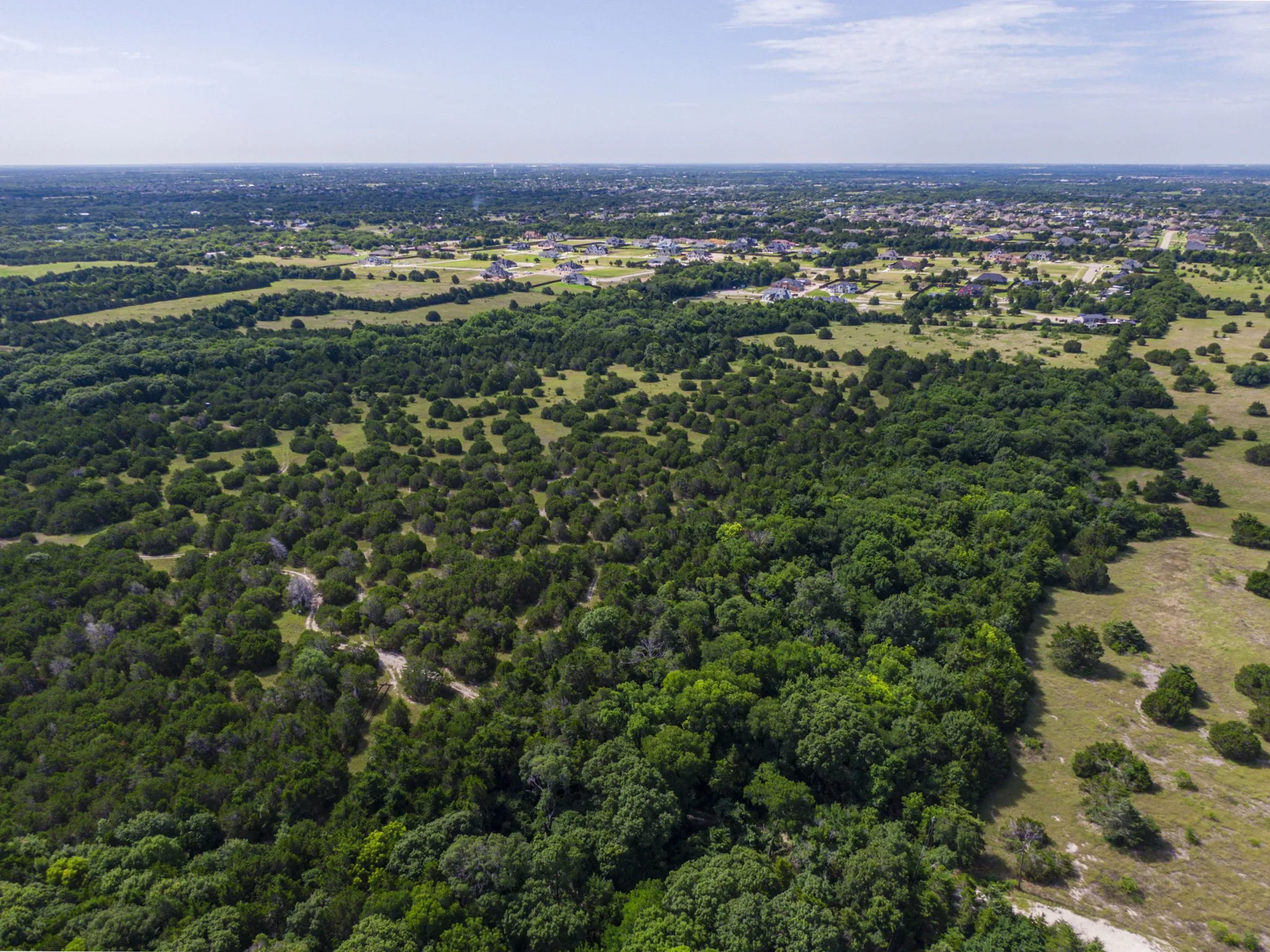 Bird's eye view of a forest