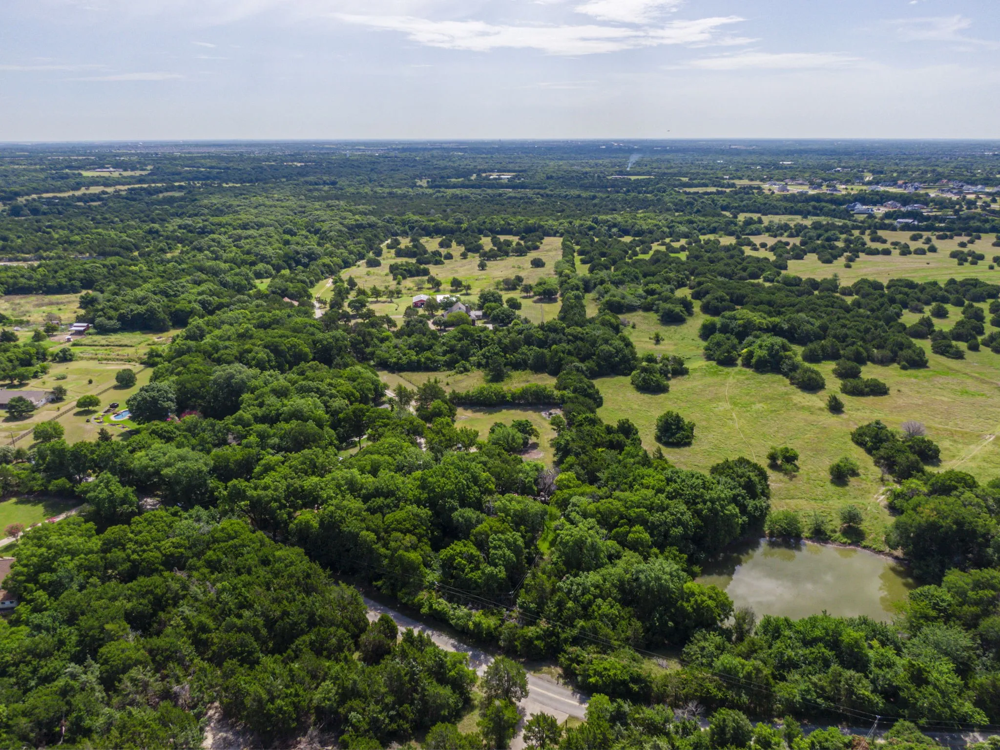 Drone / aerial view of a forest