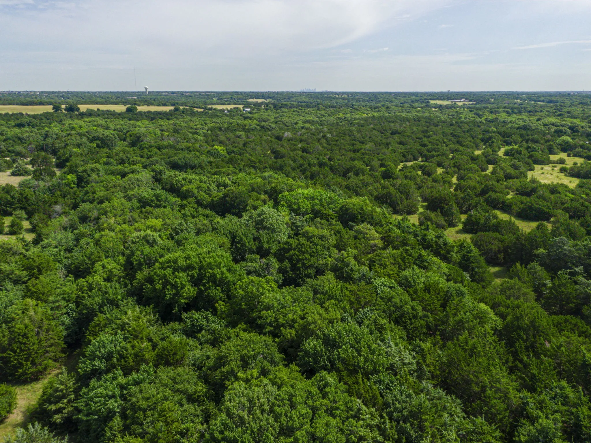 Bird's eye view of a heavily wooded area
