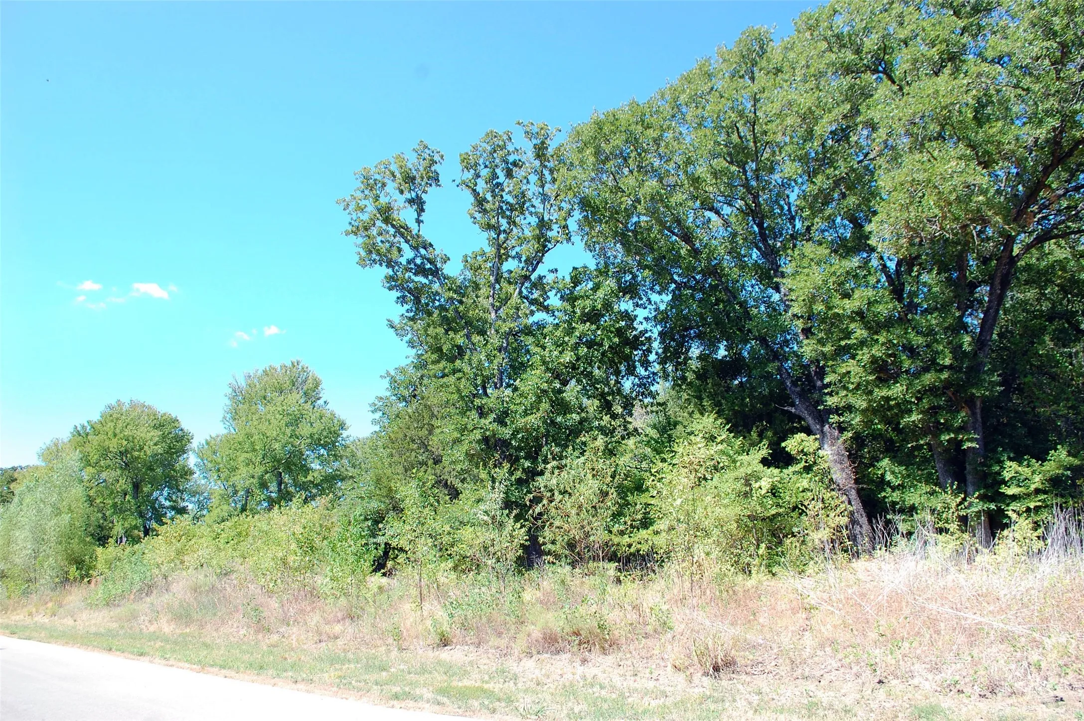 Improved Land For Sale in Kaufman County , 7117 County Road 4042, Kemp, Texas 75143, 0, 0, Garage spaces, 0 Sqft, built in 0, mls#21237360, Real Estate Agent in Kemp, Homes For Sale in Kaufman county, Homes For Sale in Kemp, Realtor in Kemp Texas, Real Estate Brokerage Independent Realty Texas, Luminita Cordes Realtor