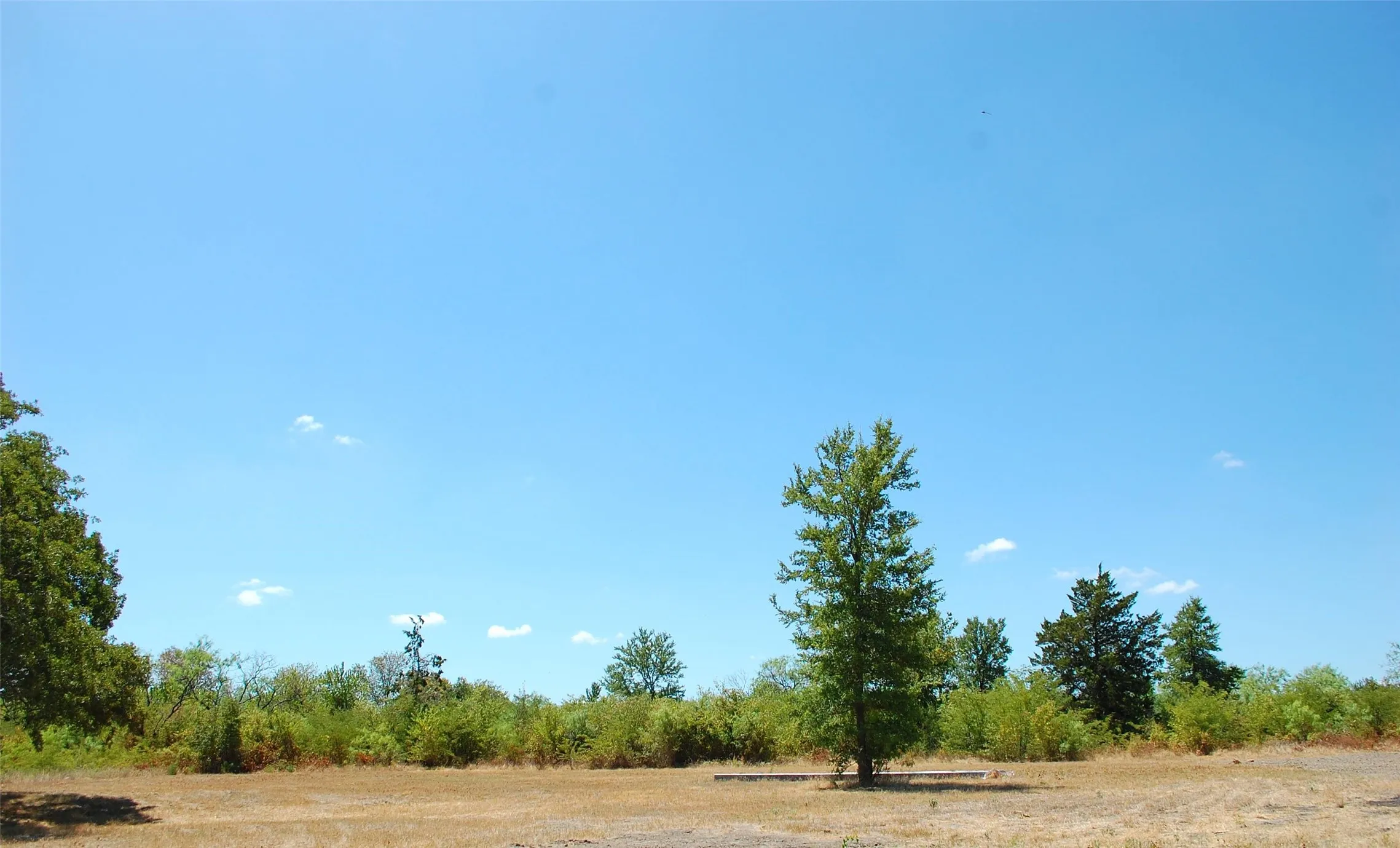 Improved Land For Sale in Kaufman County , 7117 County Road 4042, Kemp, Texas 75143, 0, 0, Garage spaces, 0 Sqft, built in 0, mls#21237360, Real Estate Agent in Kemp, Homes For Sale in Kaufman county, Homes For Sale in Kemp, Realtor in Kemp Texas, Real Estate Brokerage Independent Realty Texas, Luminita Cordes Realtor