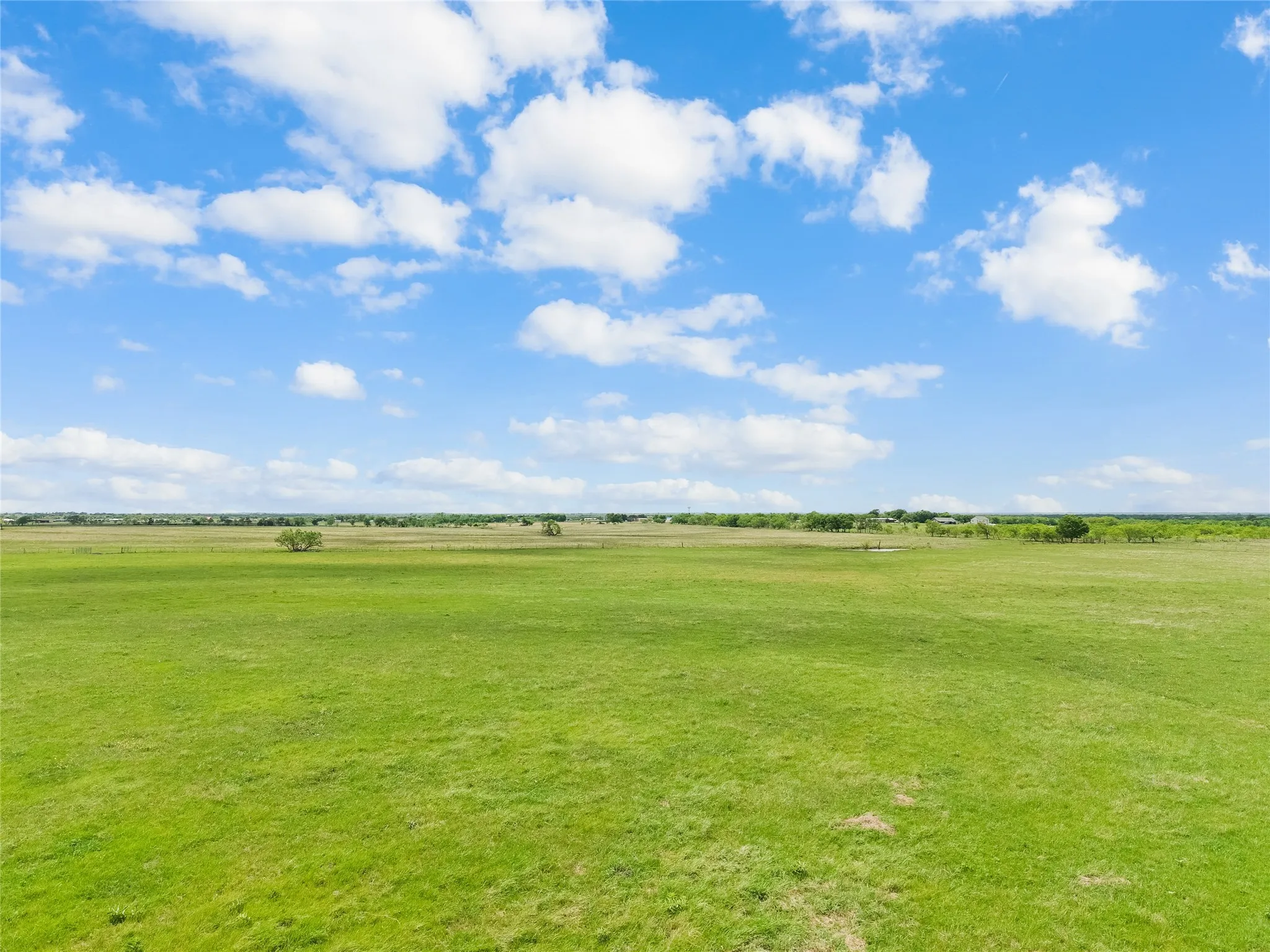 View of grassy yard