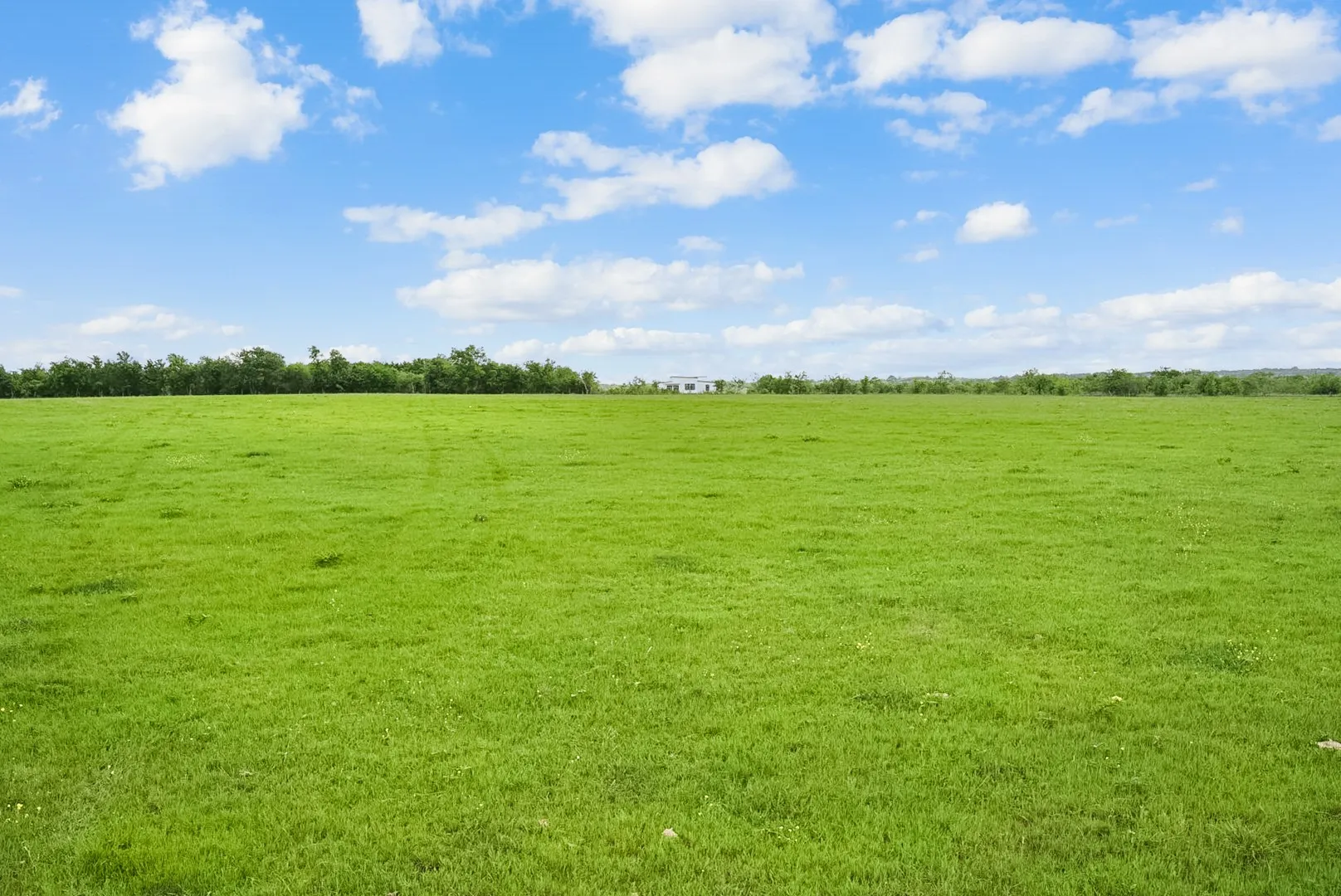 View of local wilderness with rural landscape