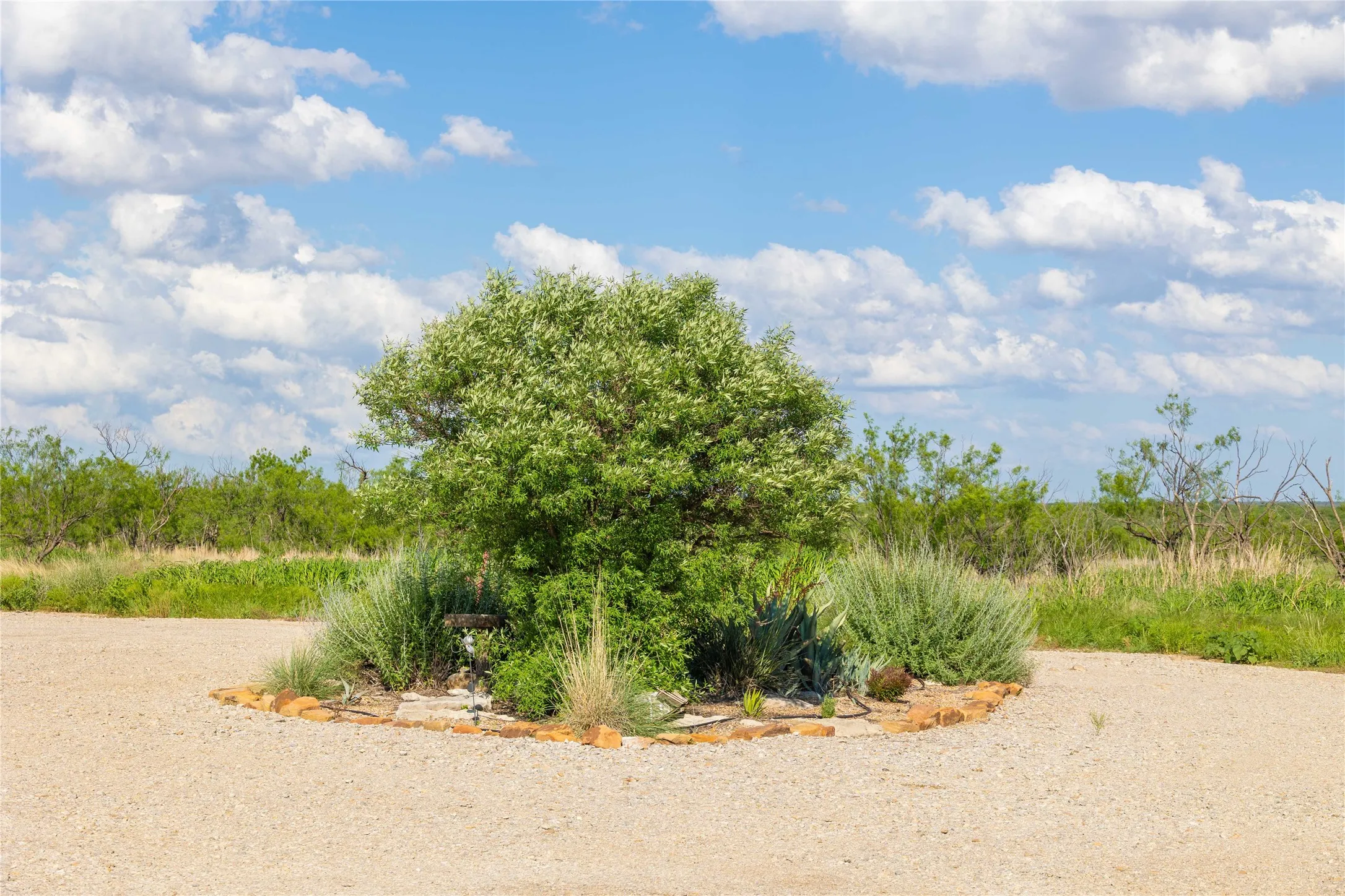 Single Family Residence For Sale in Coleman County , 970 County Road 256, Coleman, Texas 76834, 4 Bedrooms, 2 Bathrooms, 3 Garage spaces, 2,250 Sqft, built in 2017, Price $507,000, mls#21237475, Real Estate Agent in Coleman, Homes For Sale in Coleman county, Homes For Sale in Coleman, Realtor in Coleman Texas, Real Estate Brokerage Independent Realty Texas, Luminita Cordes Realtor