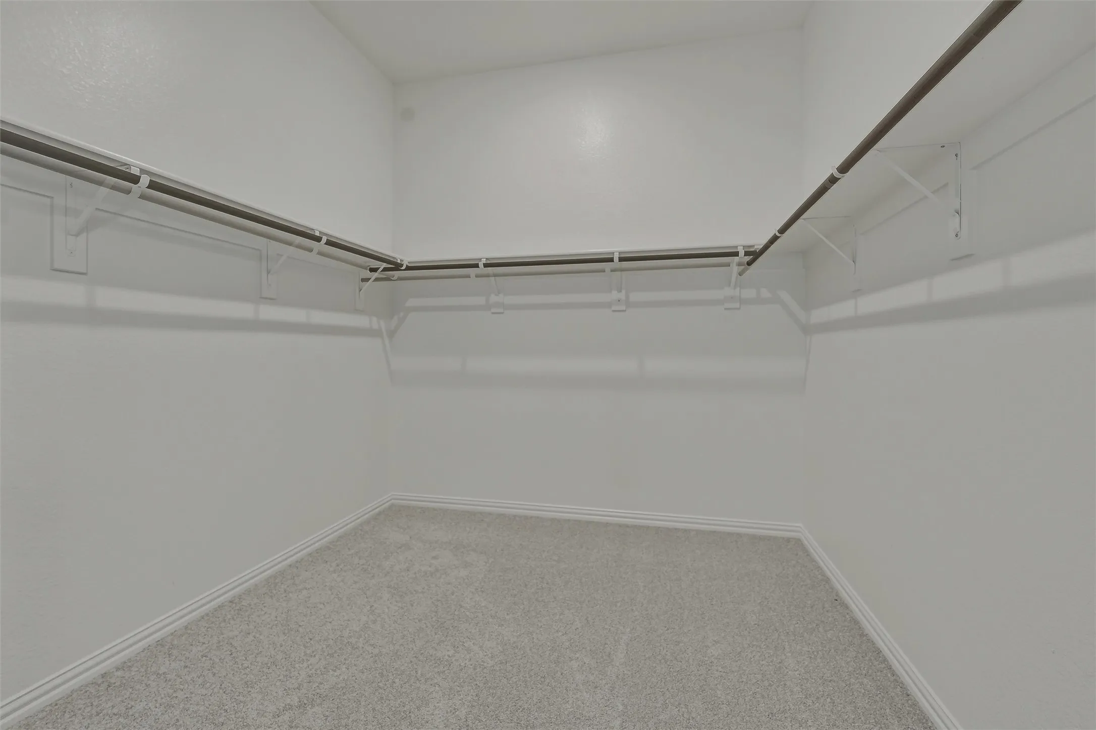 Walk-in closet featuring light grey carpeting, white baseboards, and white walls