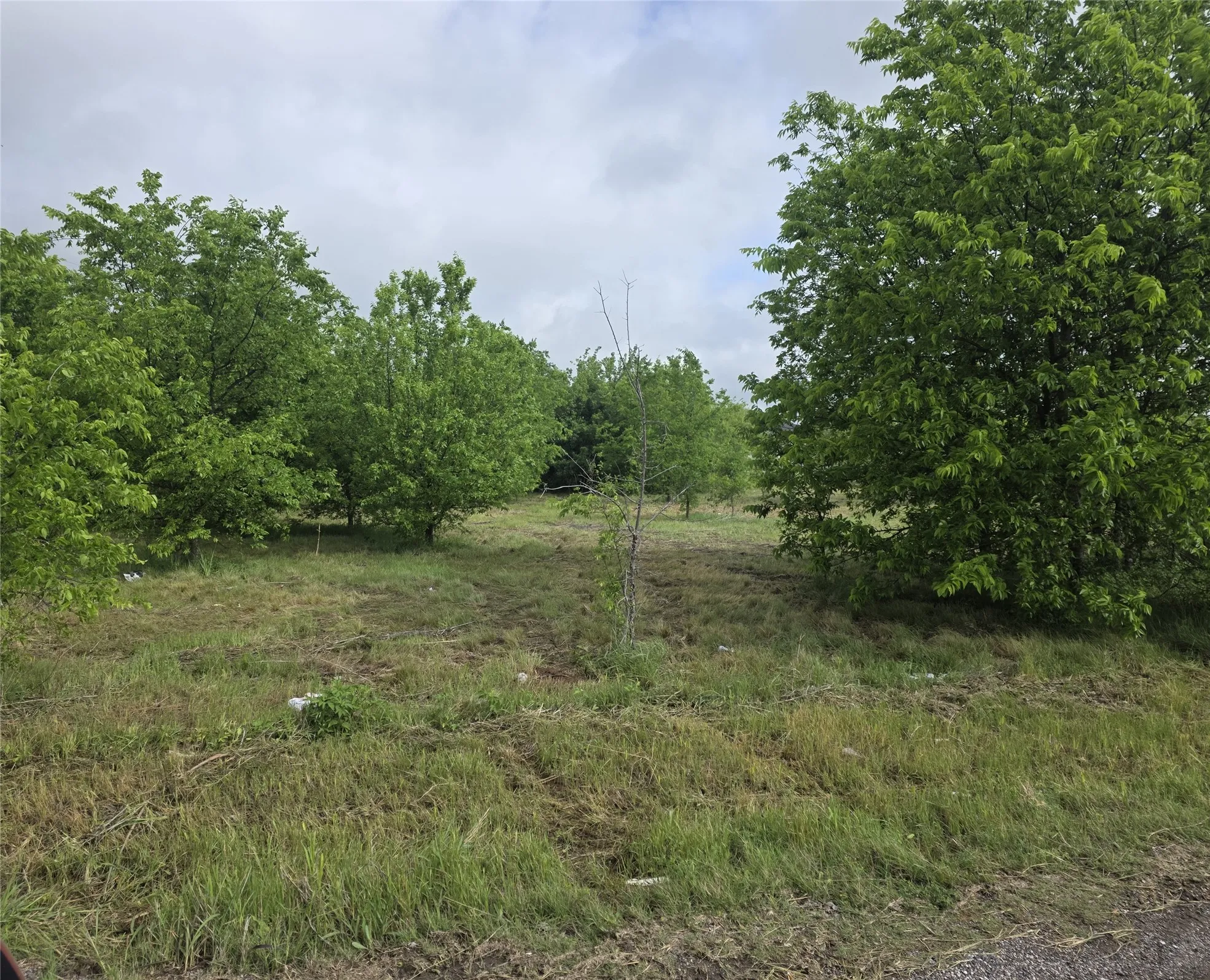 Unimproved Land For Sale in Hill County , TBD St Hwy 22 & HCR 2129, Whitney, Texas 76692, 0, 0, Garage spaces, 0 Sqft, built in 0, mls#21234600, Real Estate Agent in Whitney, Homes For Sale in Hill county, Homes For Sale in Whitney, Realtor in Whitney Texas, Real Estate Brokerage Independent Realty Texas, Luminita Cordes Realtor