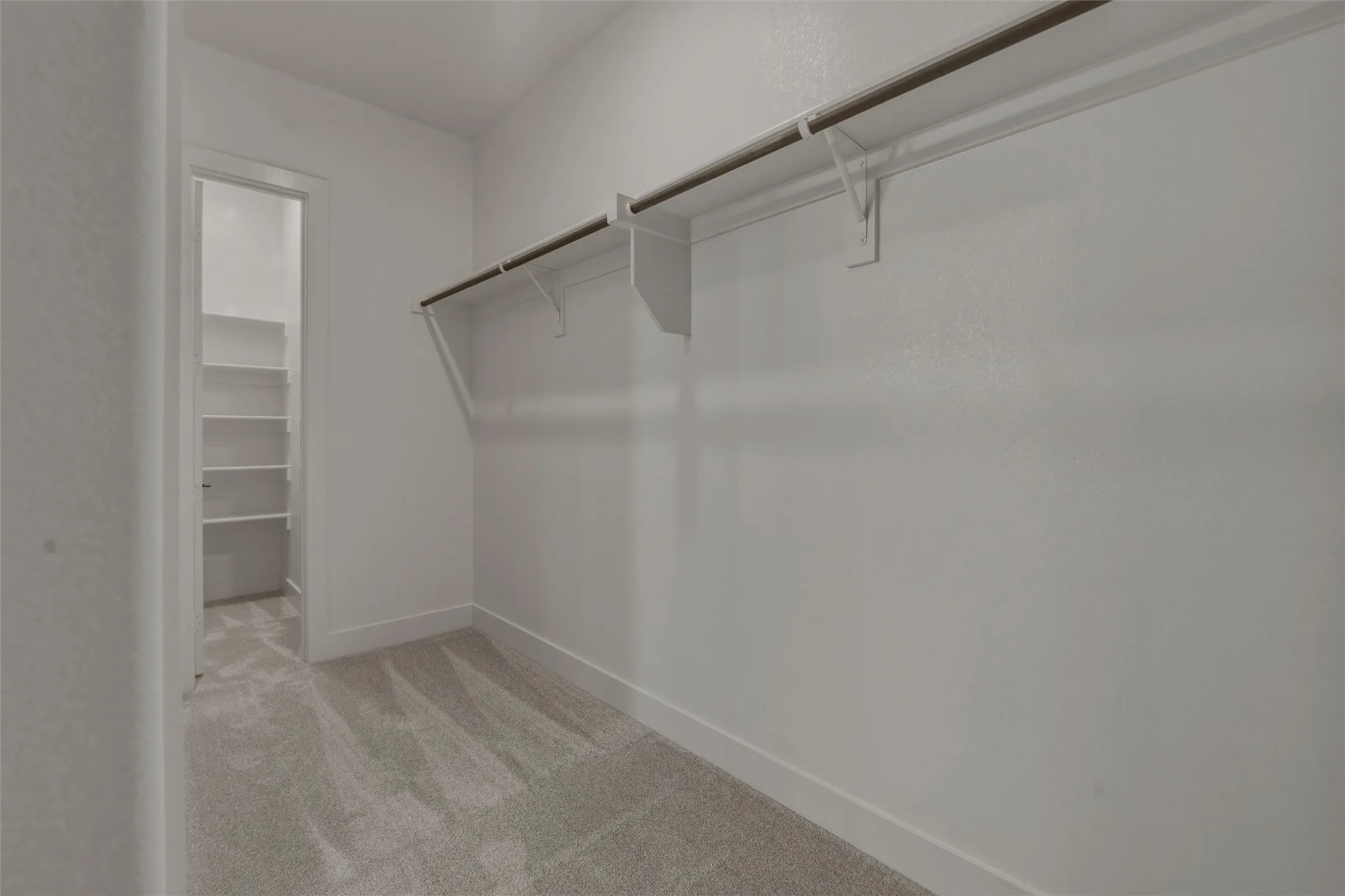 Walk-in closet featuring light gray carpeting, white walls, and a single clothing rod with shelving
