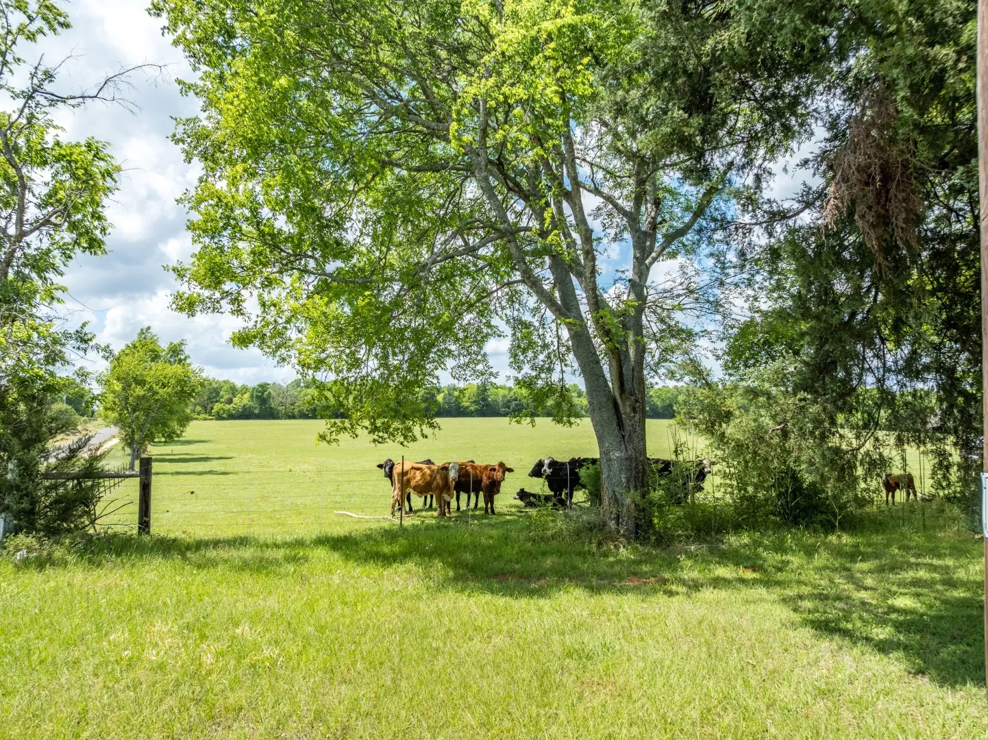Improved Land For Sale in Cherokee County , 1695 County Road 3408, Jacksonville, Texas 75766, 0, 0, Garage spaces, 0 Sqft, built in 0, mls#21237512, Real Estate Agent in Jacksonville, Homes For Sale in Cherokee county, Homes For Sale in Jacksonville, Realtor in Jacksonville Texas, Real Estate Brokerage Independent Realty Texas, Luminita Cordes Realtor