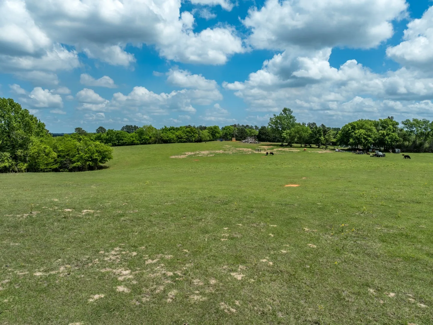Improved Land For Sale in Cherokee County , 1695 County Road 3408, Jacksonville, Texas 75766, 0, 0, Garage spaces, 0 Sqft, built in 0, mls#21237512, Real Estate Agent in Jacksonville, Homes For Sale in Cherokee county, Homes For Sale in Jacksonville, Realtor in Jacksonville Texas, Real Estate Brokerage Independent Realty Texas, Luminita Cordes Realtor