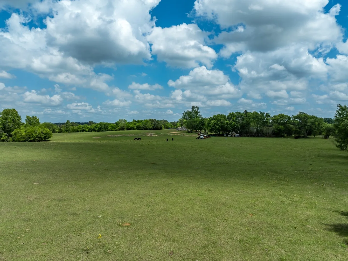 Improved Land For Sale in Cherokee County , 1695 County Road 3408, Jacksonville, Texas 75766, 0, 0, Garage spaces, 0 Sqft, built in 0, mls#21237512, Real Estate Agent in Jacksonville, Homes For Sale in Cherokee county, Homes For Sale in Jacksonville, Realtor in Jacksonville Texas, Real Estate Brokerage Independent Realty Texas, Luminita Cordes Realtor