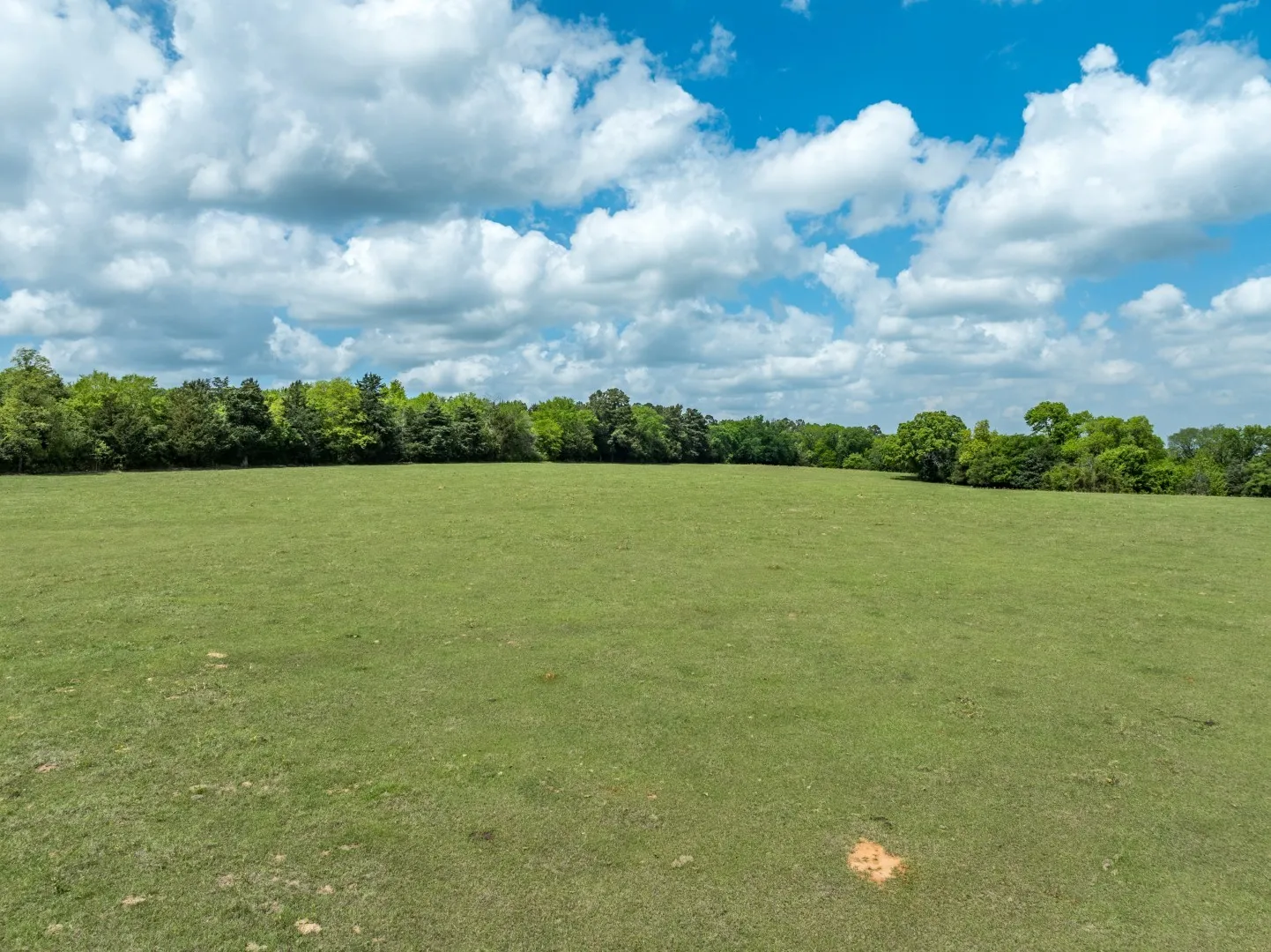 Improved Land For Sale in Cherokee County , 1695 County Road 3408, Jacksonville, Texas 75766, 0, 0, Garage spaces, 0 Sqft, built in 0, mls#21237512, Real Estate Agent in Jacksonville, Homes For Sale in Cherokee county, Homes For Sale in Jacksonville, Realtor in Jacksonville Texas, Real Estate Brokerage Independent Realty Texas, Luminita Cordes Realtor