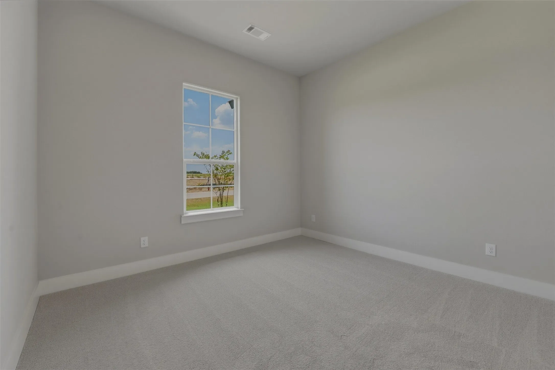 Spacious room featuring neutral carpeting and light gray wall tones