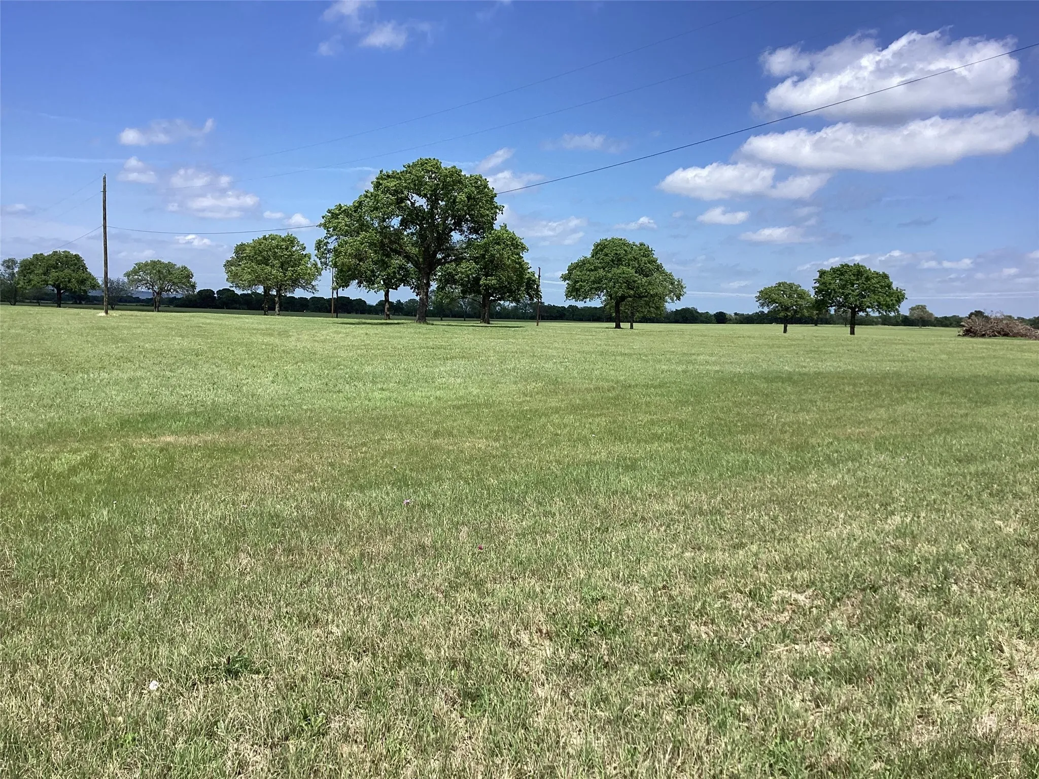 Unimproved Land For Sale in Palo Pinto County , TBD Brown, Palo Pinto, Texas 76484, 0, 0, Garage spaces, 0 Sqft, built in 0, Price $1,750,000, mls#21237520, Real Estate Agent in Palo Pinto, Homes For Sale in Palo Pinto county, Homes For Sale in Palo Pinto, Realtor in Palo Pinto Texas, Real Estate Brokerage Independent Realty Texas, Luminita Cordes Realtor