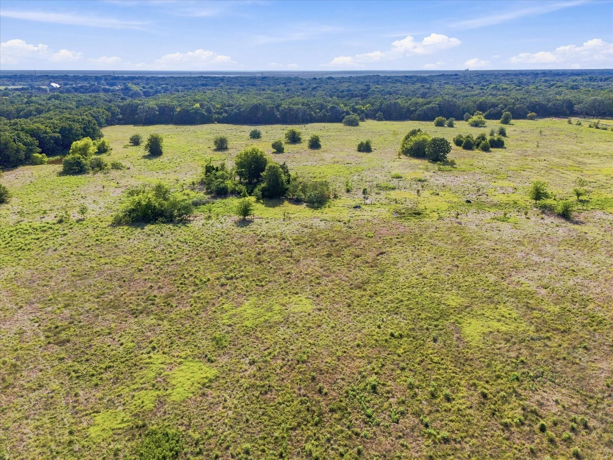 Unimproved Land For Sale in Kaufman County , 0 FM RD 3094 Fm Rd 3094, Scurry, Texas 75158, 0, 0, Garage spaces, 0 Sqft, built in 0, mls#21237472, Real Estate Agent in Scurry, Homes For Sale in Kaufman county, Homes For Sale in Scurry, Realtor in Scurry Texas, Real Estate Brokerage Independent Realty Texas, Luminita Cordes Realtor