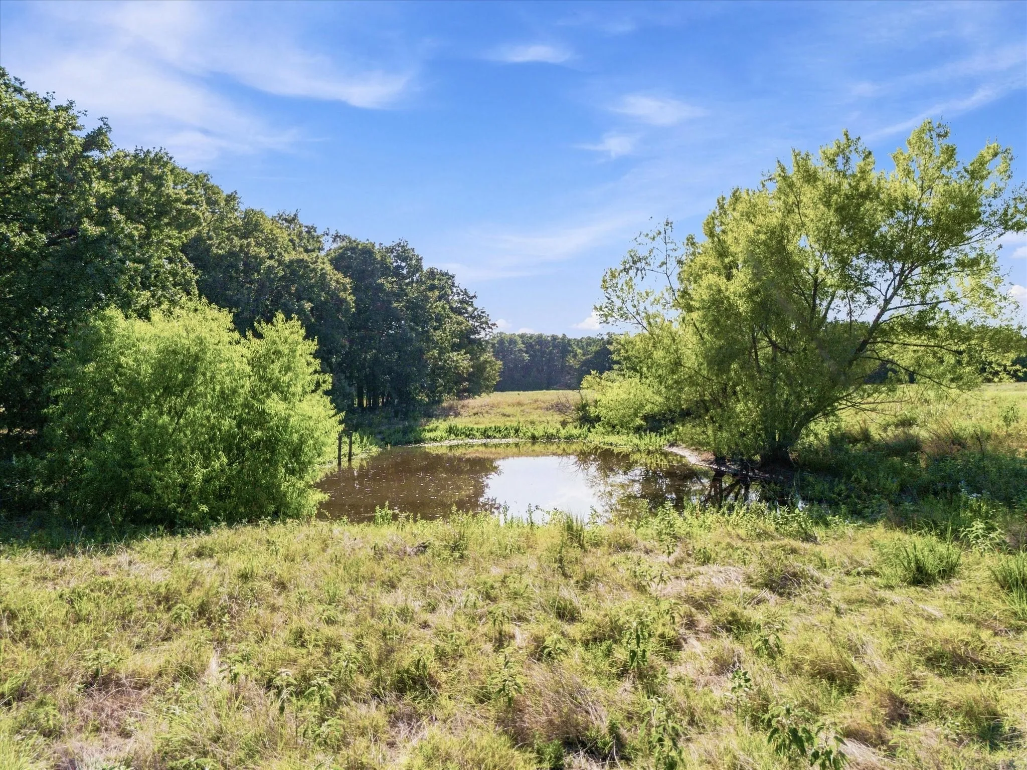 Unimproved Land For Sale in Kaufman County , 0 FM RD 3094 Fm Rd 3094, Scurry, Texas 75158, 0, 0, Garage spaces, 0 Sqft, built in 0, mls#21237472, Real Estate Agent in Scurry, Homes For Sale in Kaufman county, Homes For Sale in Scurry, Realtor in Scurry Texas, Real Estate Brokerage Independent Realty Texas, Luminita Cordes Realtor