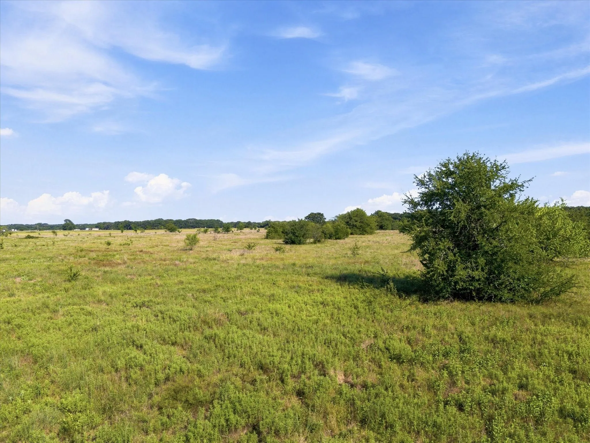 Unimproved Land For Sale in Kaufman County , 0 FM RD 3094 Fm Rd 3094, Scurry, Texas 75158, 0, 0, Garage spaces, 0 Sqft, built in 0, mls#21237472, Real Estate Agent in Scurry, Homes For Sale in Kaufman county, Homes For Sale in Scurry, Realtor in Scurry Texas, Real Estate Brokerage Independent Realty Texas, Luminita Cordes Realtor