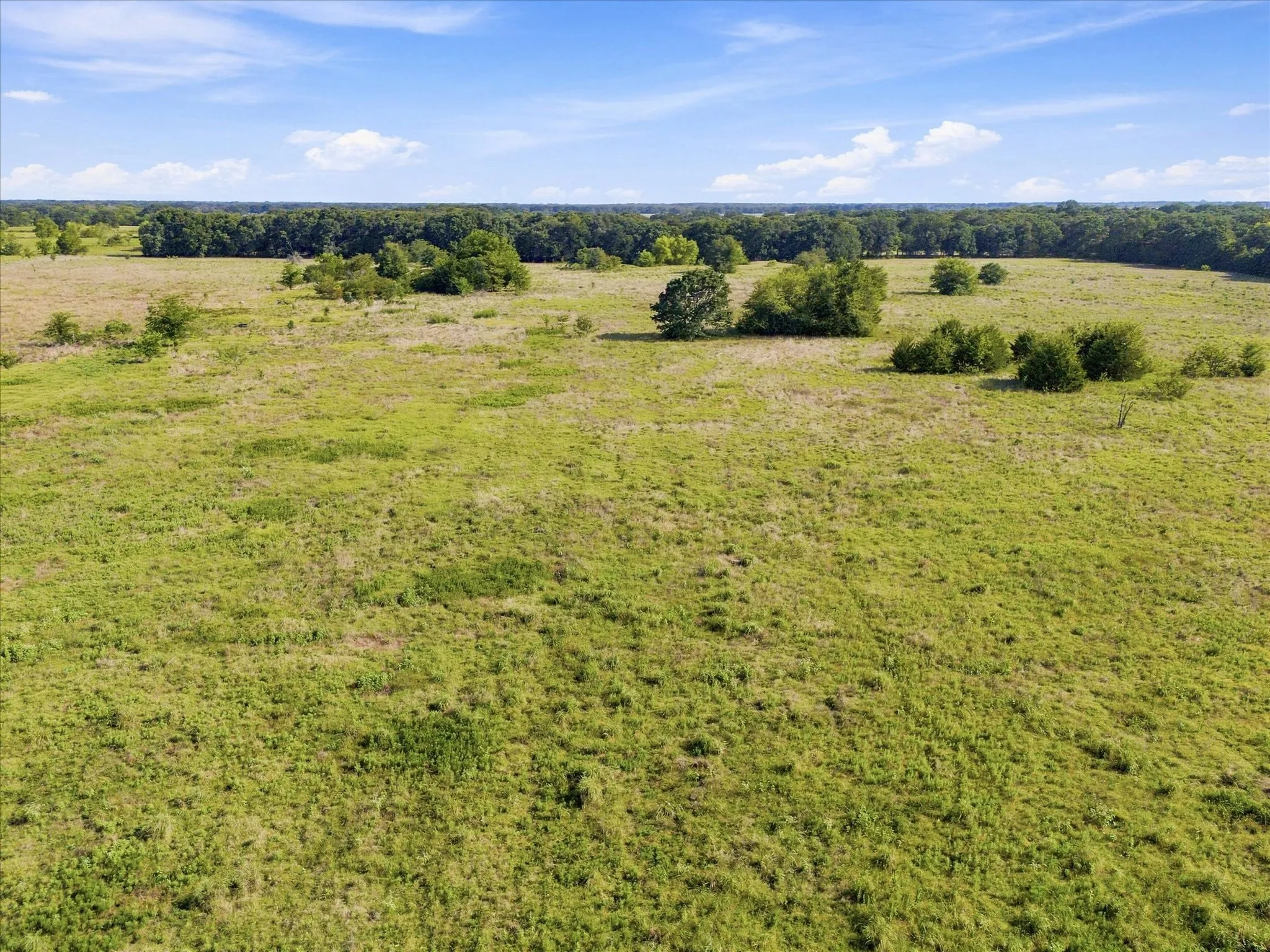 Unimproved Land For Sale in Kaufman County , 0 FM RD 3094 Fm Rd 3094, Scurry, Texas 75158, 0, 0, Garage spaces, 0 Sqft, built in 0, mls#21237472, Real Estate Agent in Scurry, Homes For Sale in Kaufman county, Homes For Sale in Scurry, Realtor in Scurry Texas, Real Estate Brokerage Independent Realty Texas, Luminita Cordes Realtor